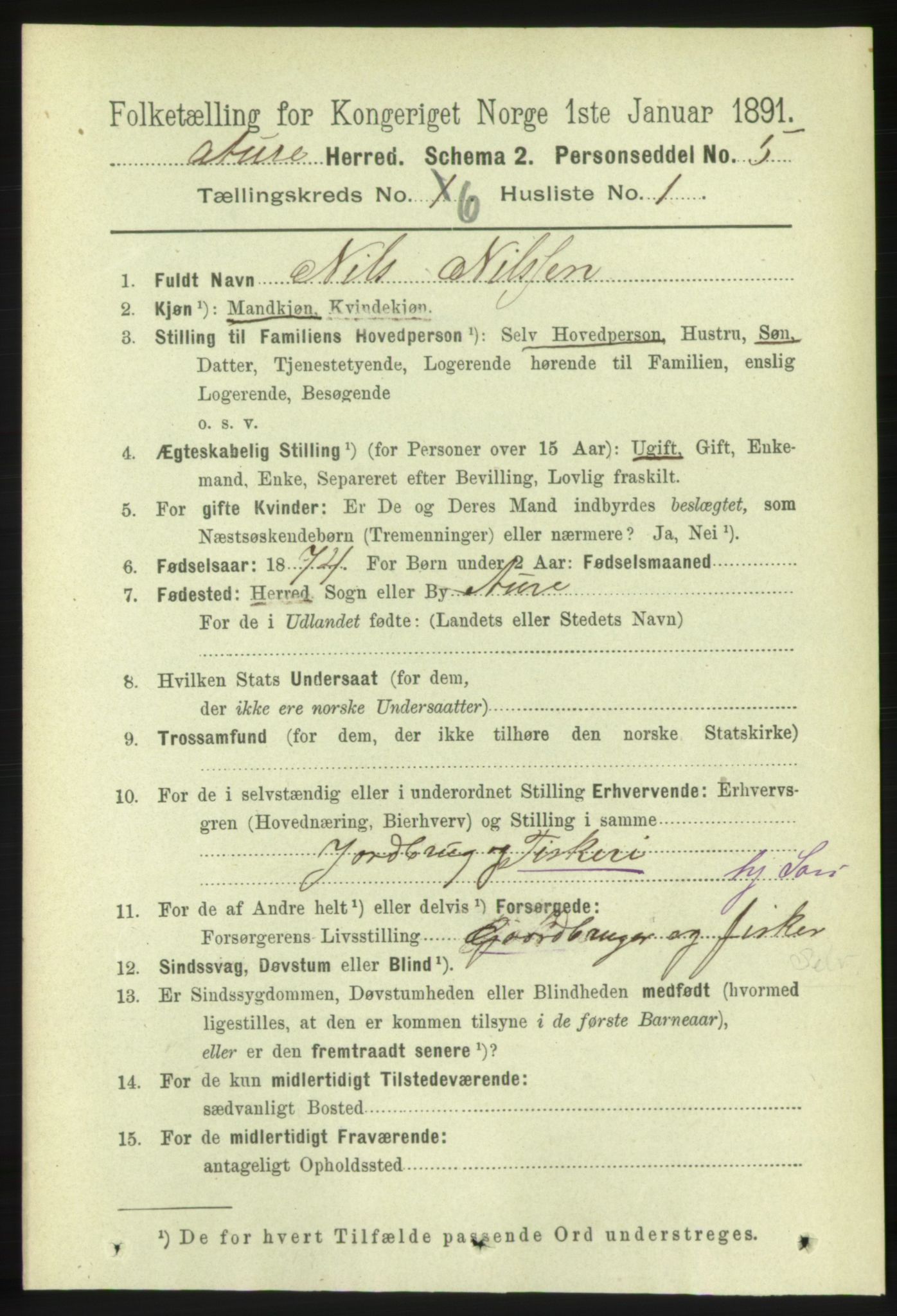 RA, 1891 census for 1569 Aure, 1891, p. 3375