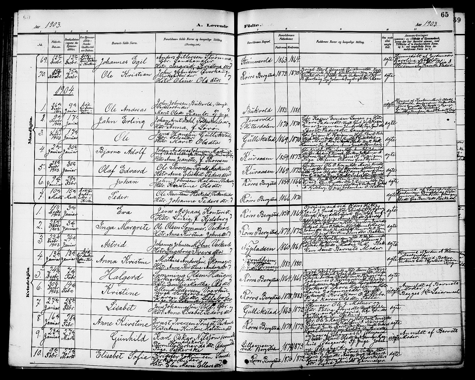 Ministerialprotokoller, klokkerbøker og fødselsregistre - Sør-Trøndelag, SAT/A-1456/681/L0941: Parish register (copy) no. 681C05, 1896-1905, p. 65