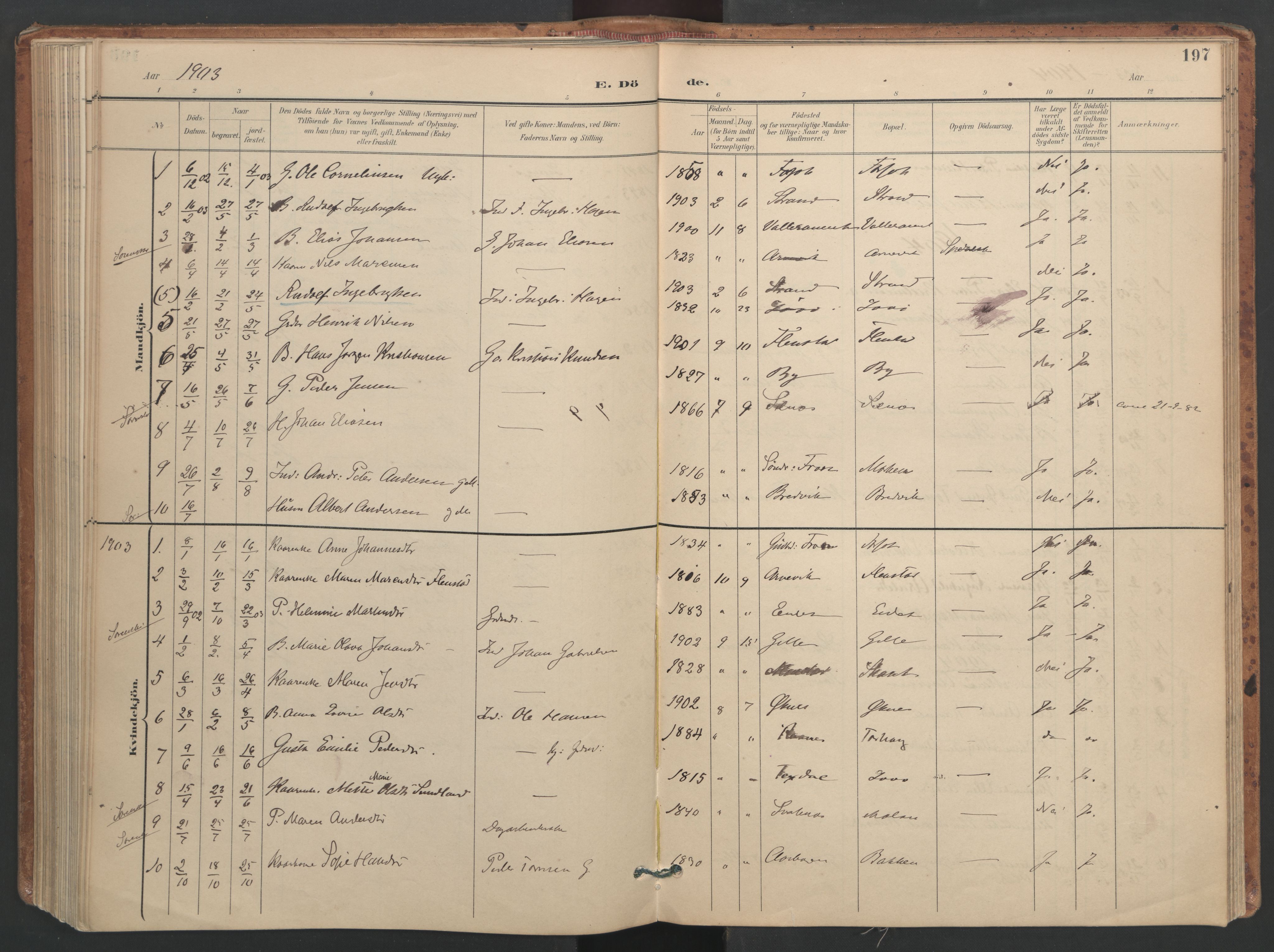 Ministerialprotokoller, klokkerbøker og fødselsregistre - Sør-Trøndelag, SAT/A-1456/655/L0681: Parish register (official) no. 655A10, 1895-1907, p. 197