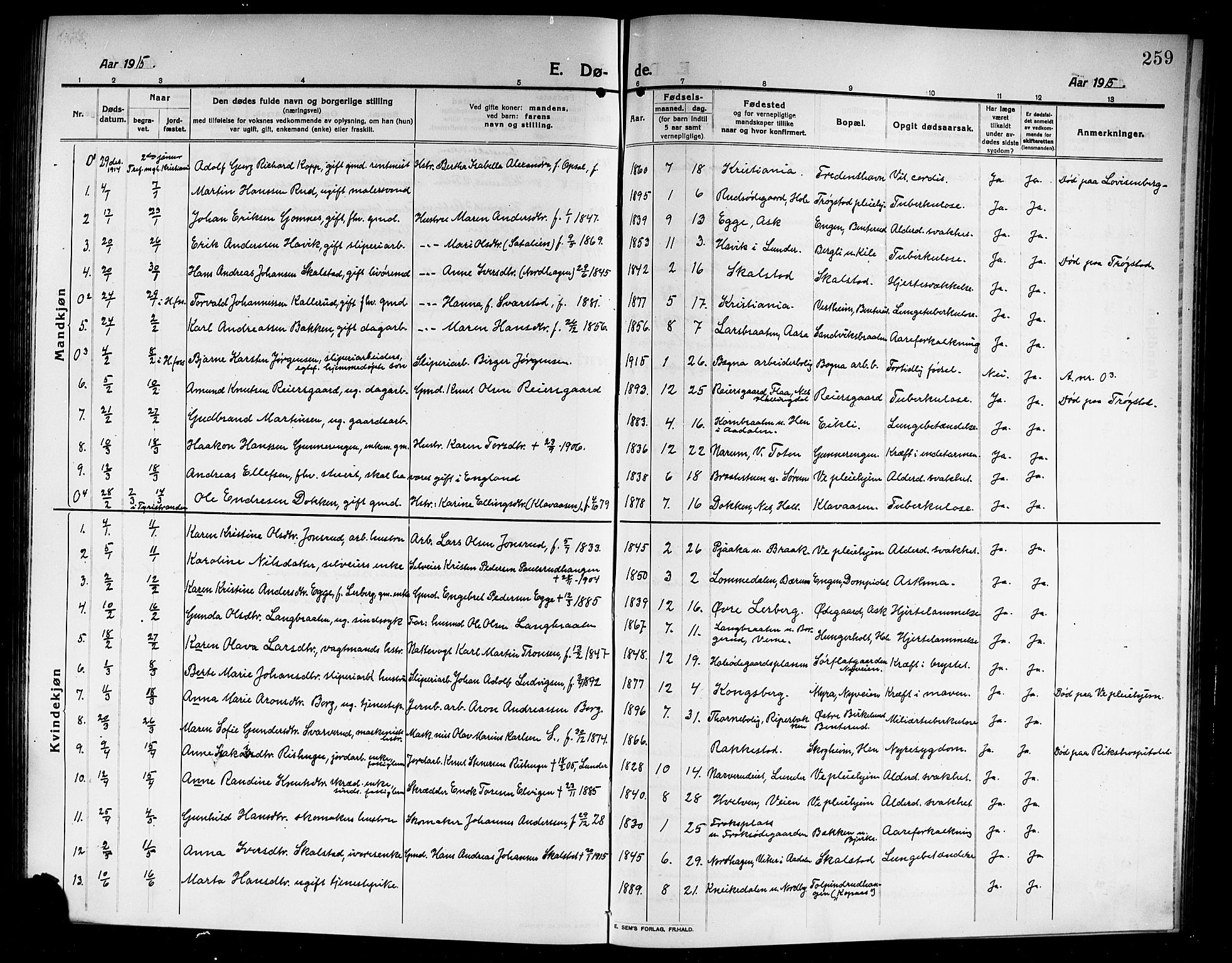 Norderhov kirkebøker, AV/SAKO-A-237/G/Ga/L0009: Parish register (copy) no. I 9, 1913-1920, p. 259