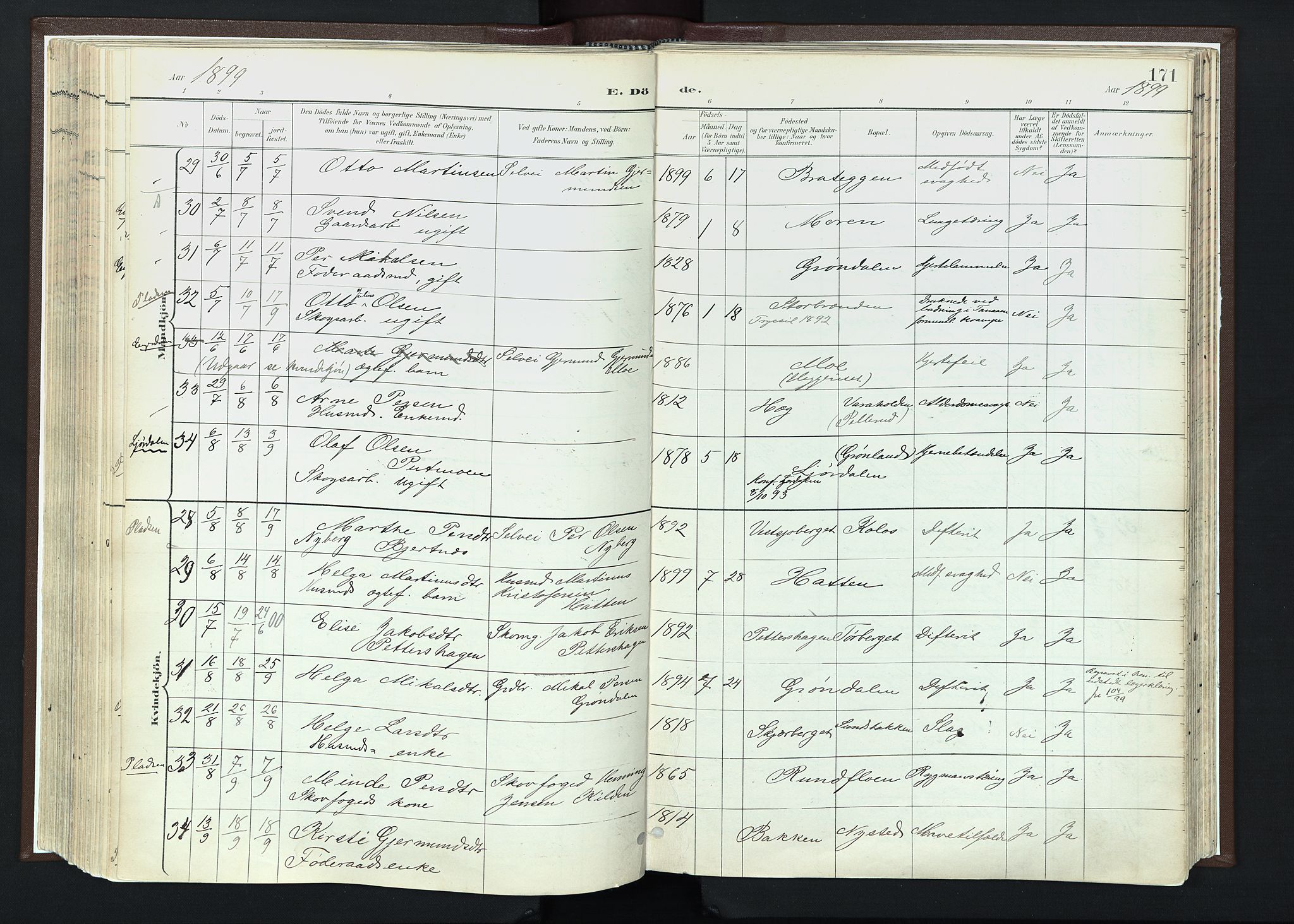 Trysil prestekontor, SAH/PREST-046/H/Ha/Haa/L0013: Parish register (official) no. 13, 1898-1911, p. 171