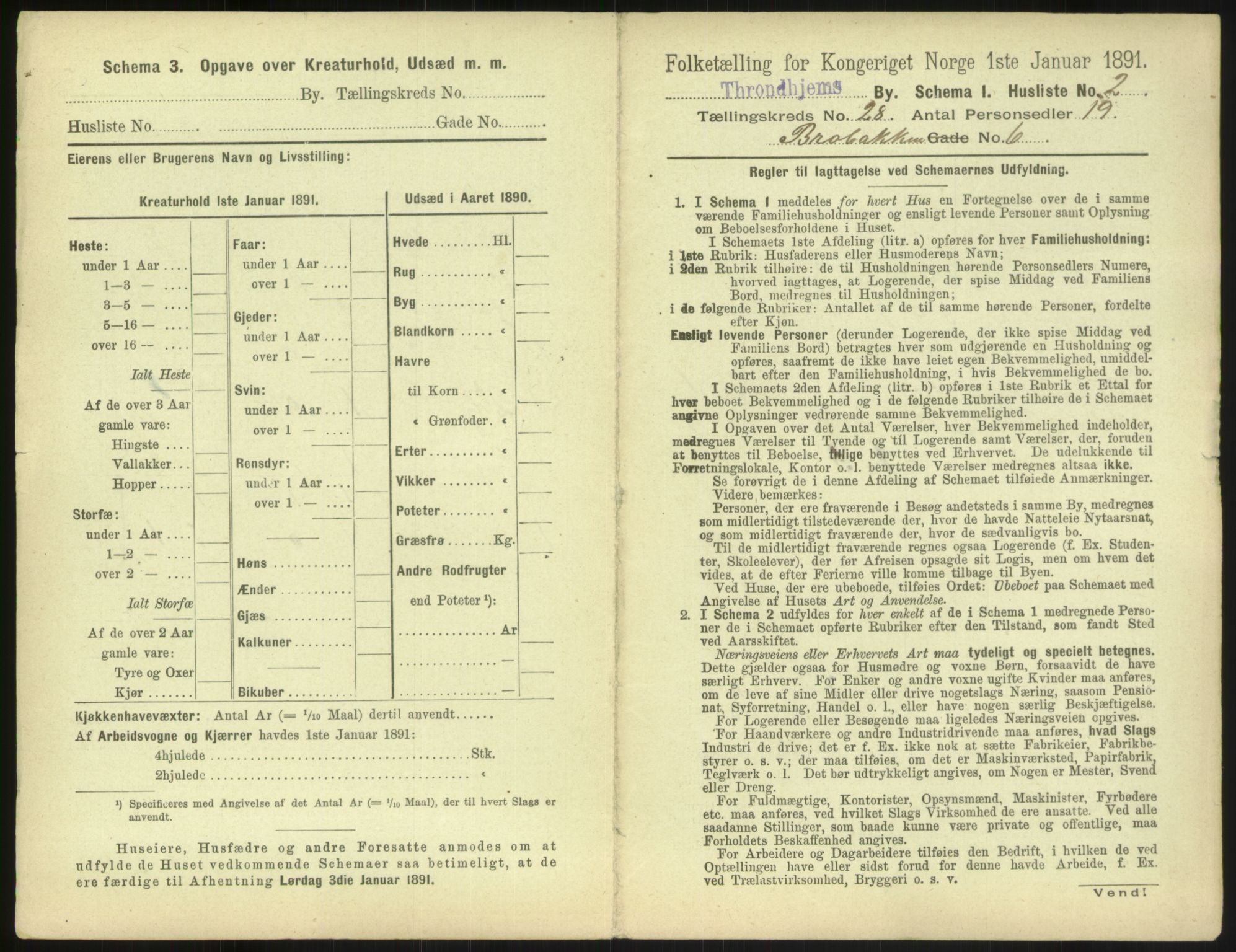 RA, 1891 census for 1601 Trondheim, 1891, p. 1988