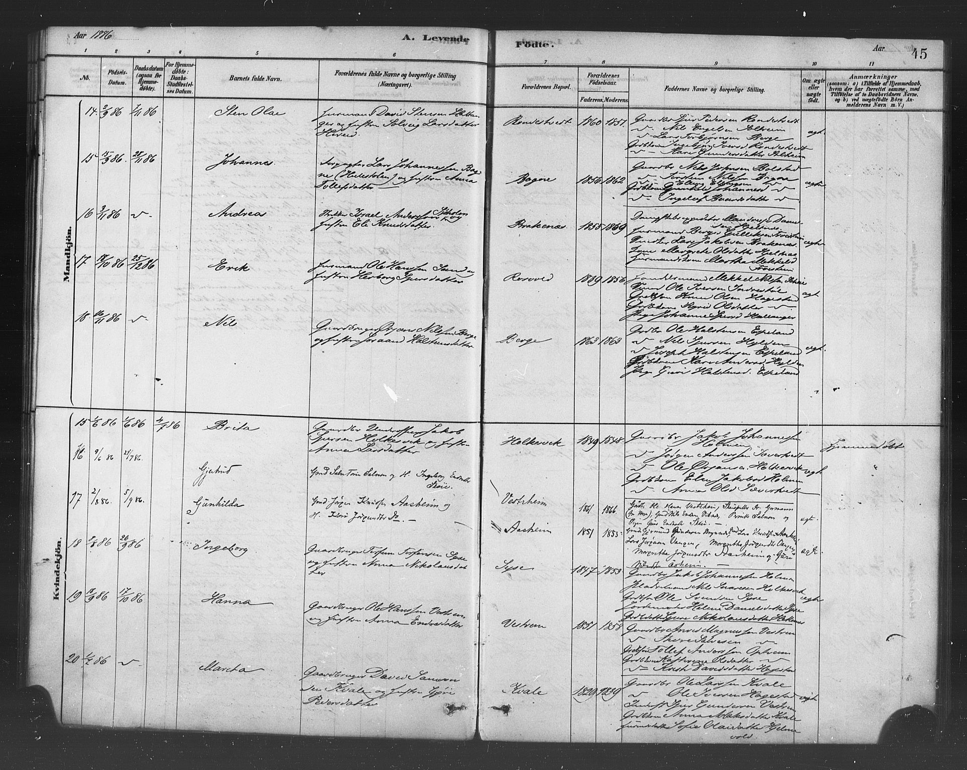 Ulvik sokneprestembete, AV/SAB-A-78801/H/Haa: Parish register (official) no. B 1, 1878-1897, p. 45