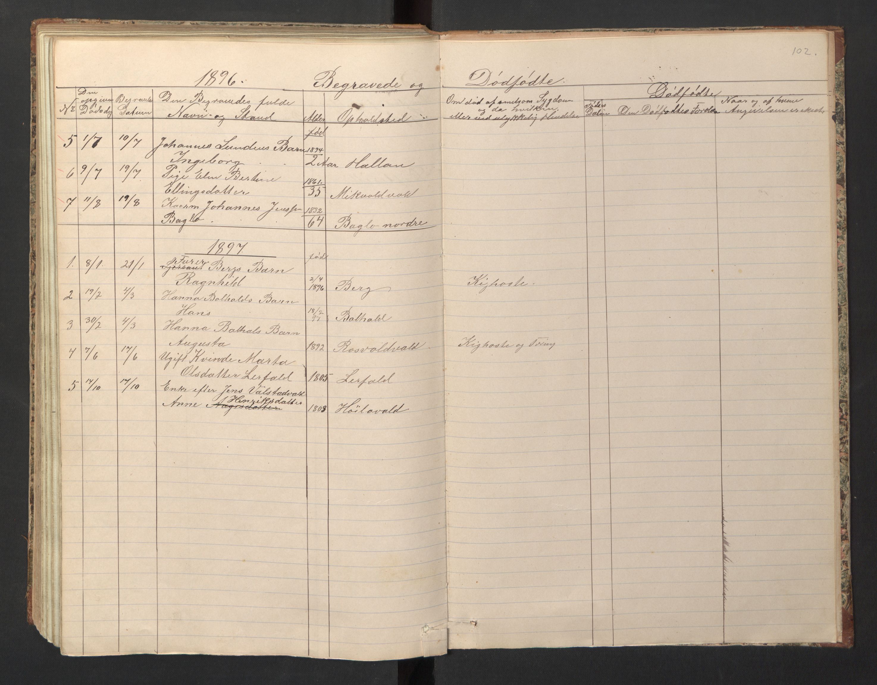 Ministerialprotokoller, klokkerbøker og fødselsregistre - Nord-Trøndelag, SAT/A-1458/726/L0271: Parish register (copy) no. 726C02, 1869-1897, p. 102