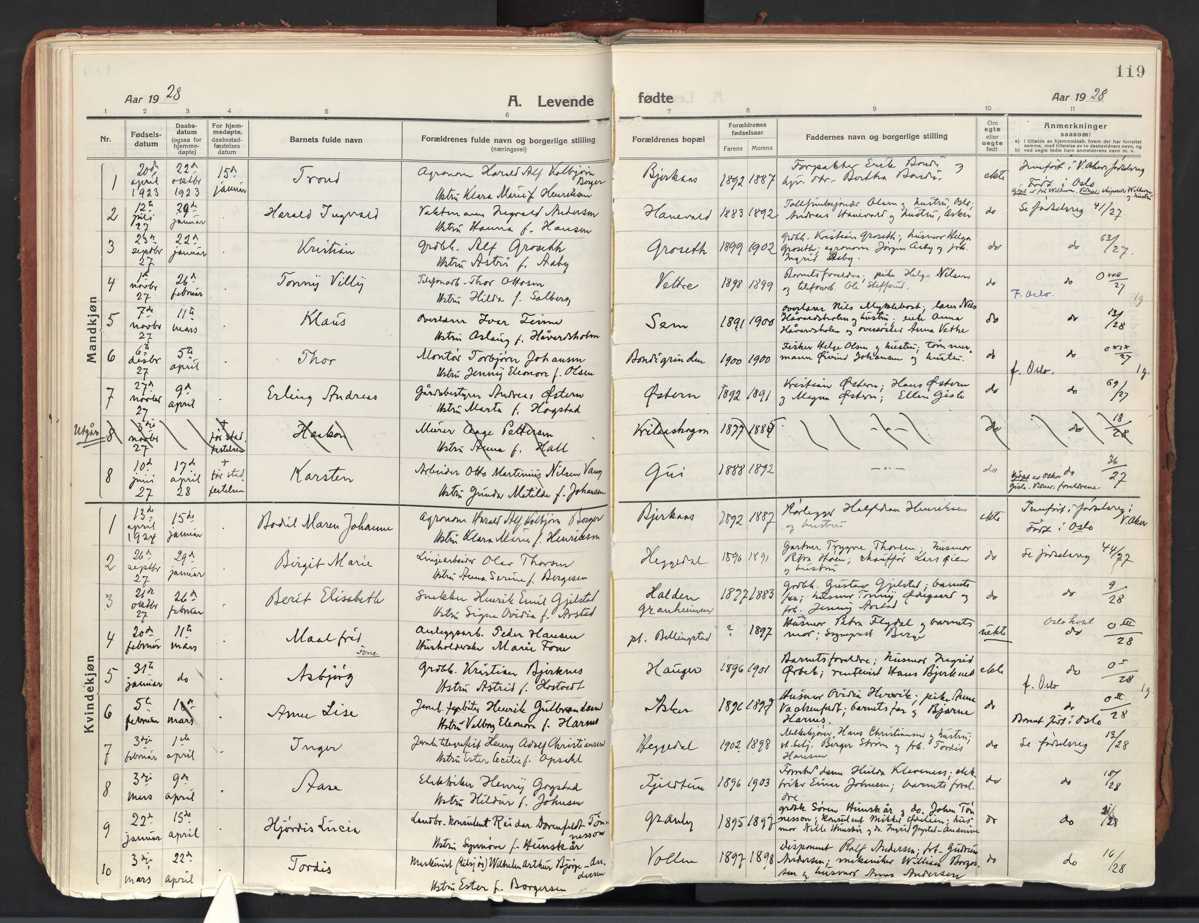 Asker prestekontor Kirkebøker, AV/SAO-A-10256a/F/Fa/L0018: Parish register (official) no. I 18, 1916-1936, p. 119