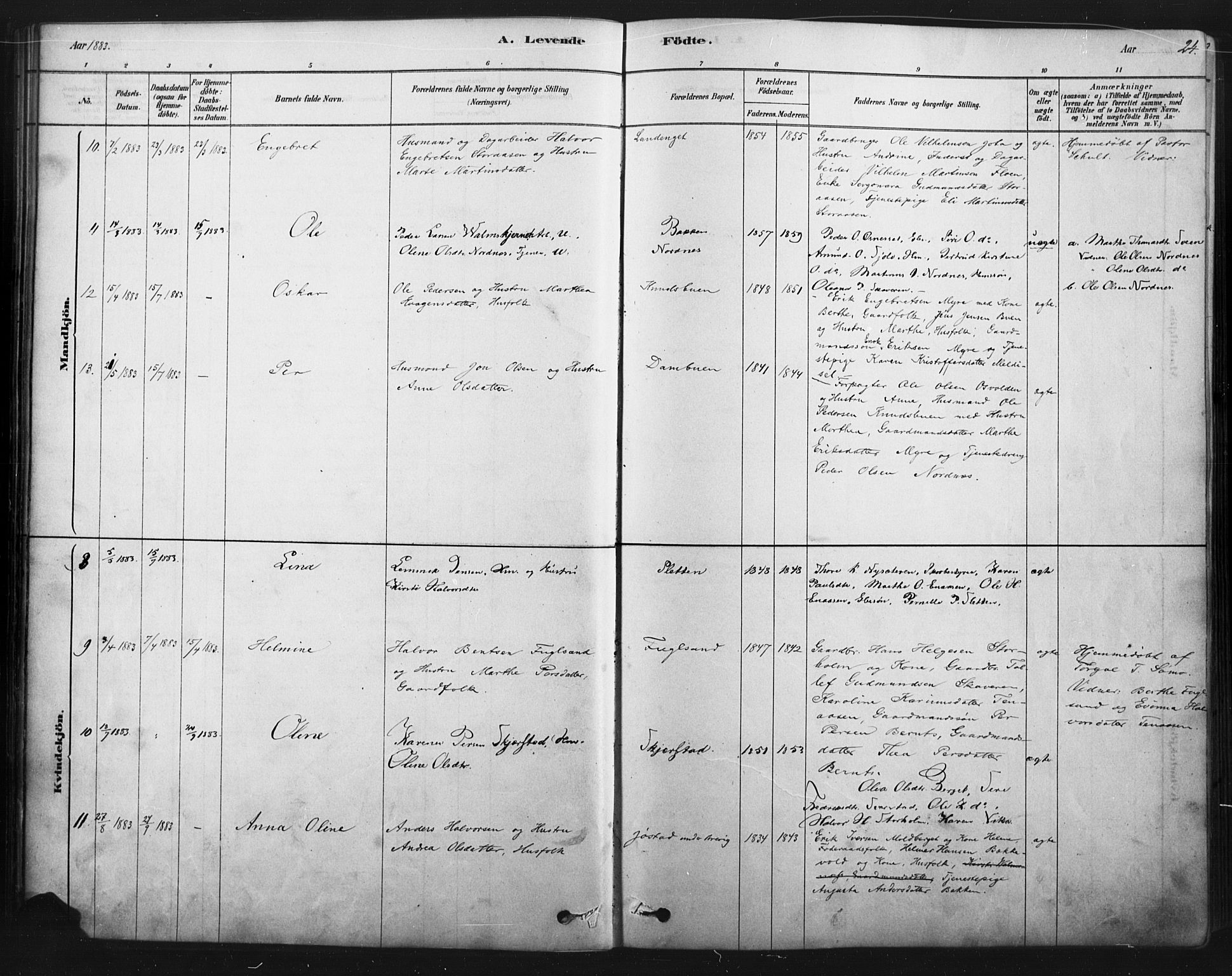 Åmot prestekontor, Hedmark, AV/SAH-PREST-056/H/Ha/Haa/L0012: Parish register (official) no. 12, 1878-1901, p. 24