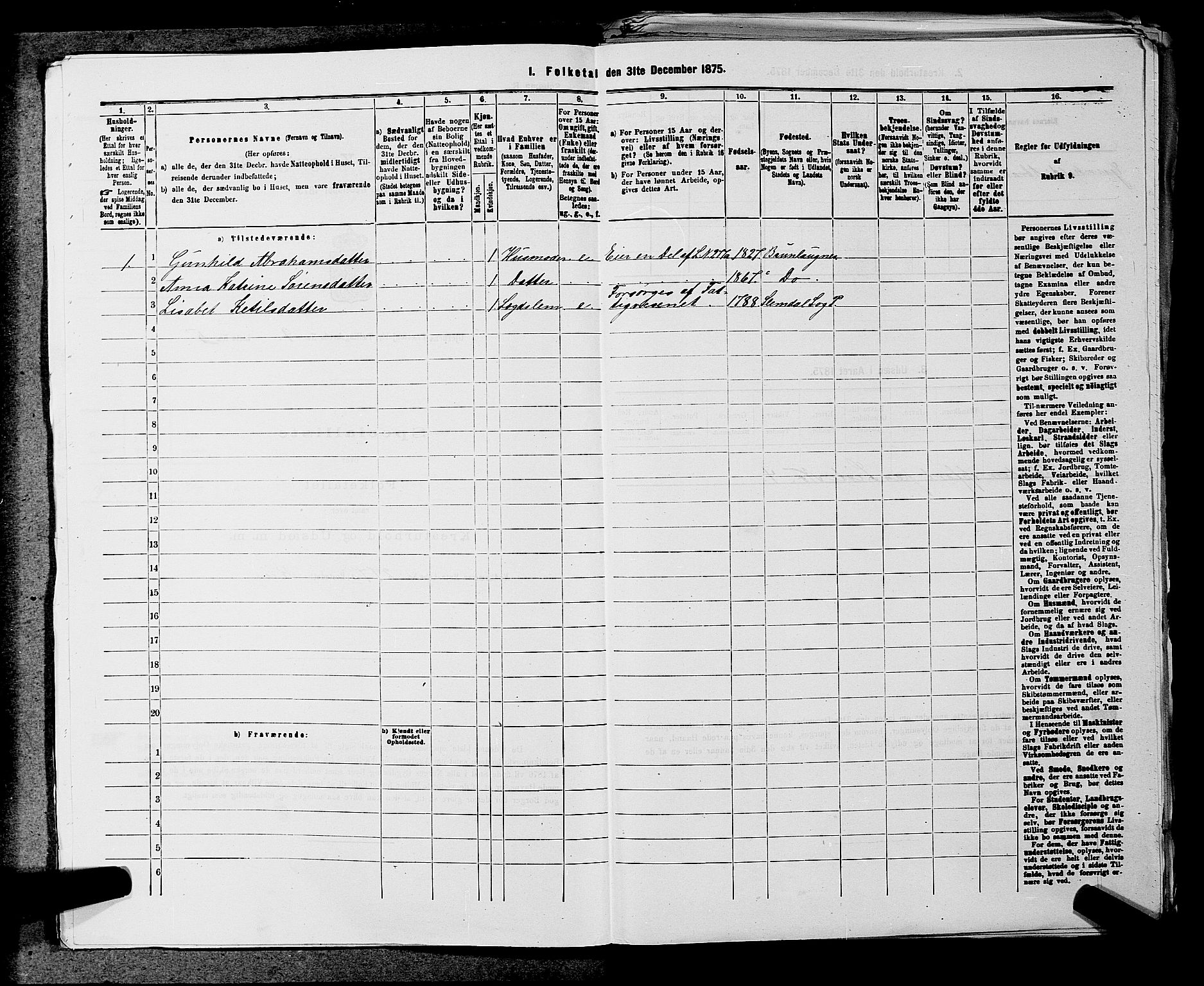 SAKO, 1875 census for 0812P Gjerpen, 1875, p. 1325