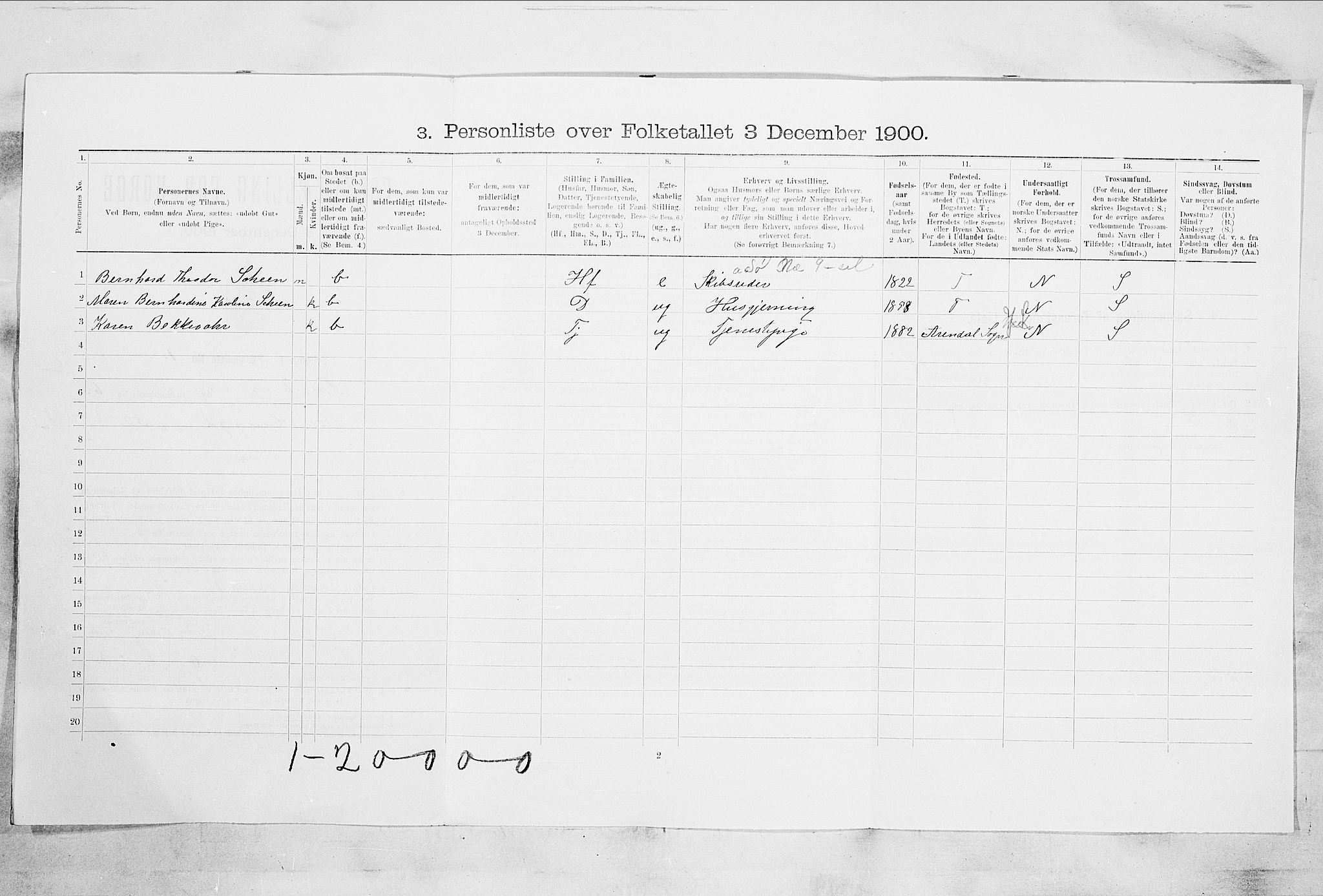 RA, 1900 census for Tønsberg, 1900, p. 894