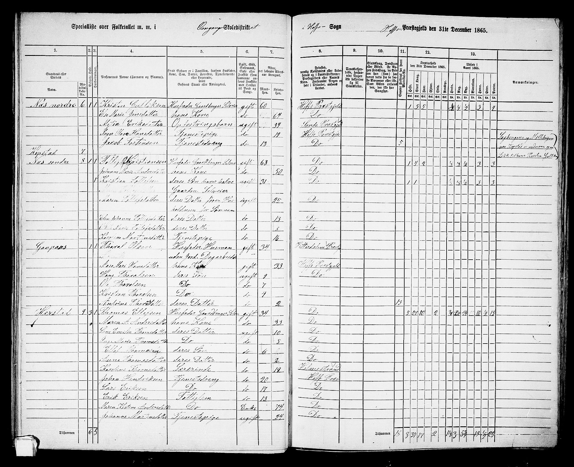 RA, 1865 census for Hof, 1865, p. 43