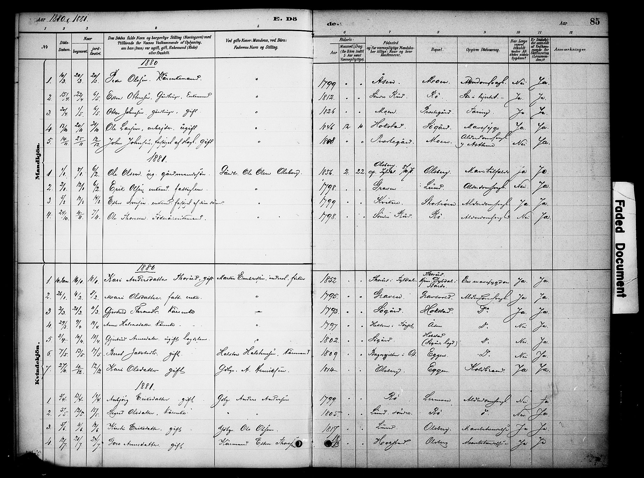 Tynset prestekontor, SAH/PREST-058/H/Ha/Haa/L0023: Parish register (official) no. 23, 1880-1901, p. 85