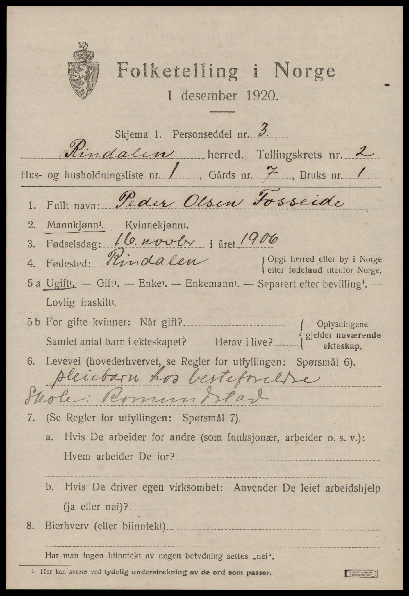SAT, 1920 census for Rindal, 1920, p. 976