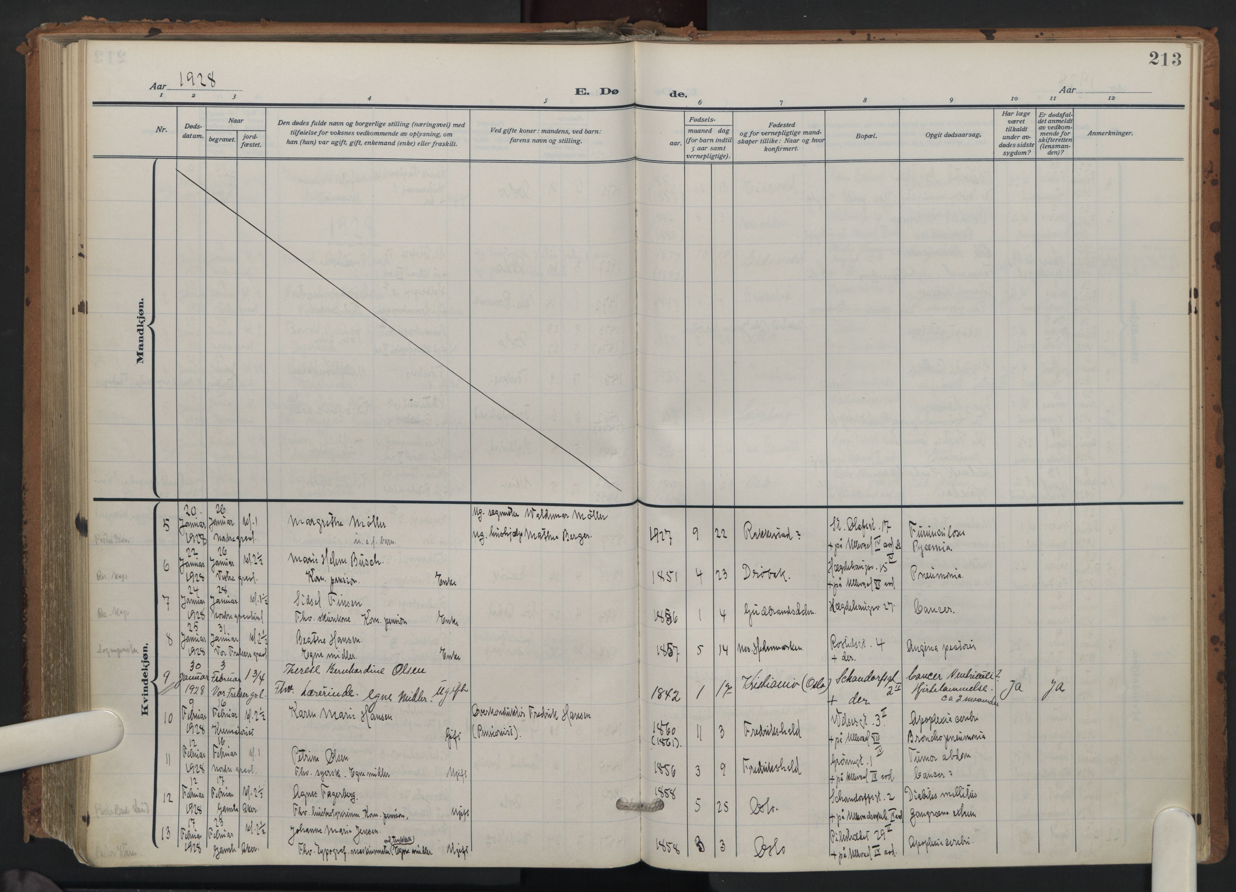 Trefoldighet prestekontor Kirkebøker, AV/SAO-A-10882/F/Fd/L0005: Parish register (official) no. IV 5, 1912-1929, p. 213