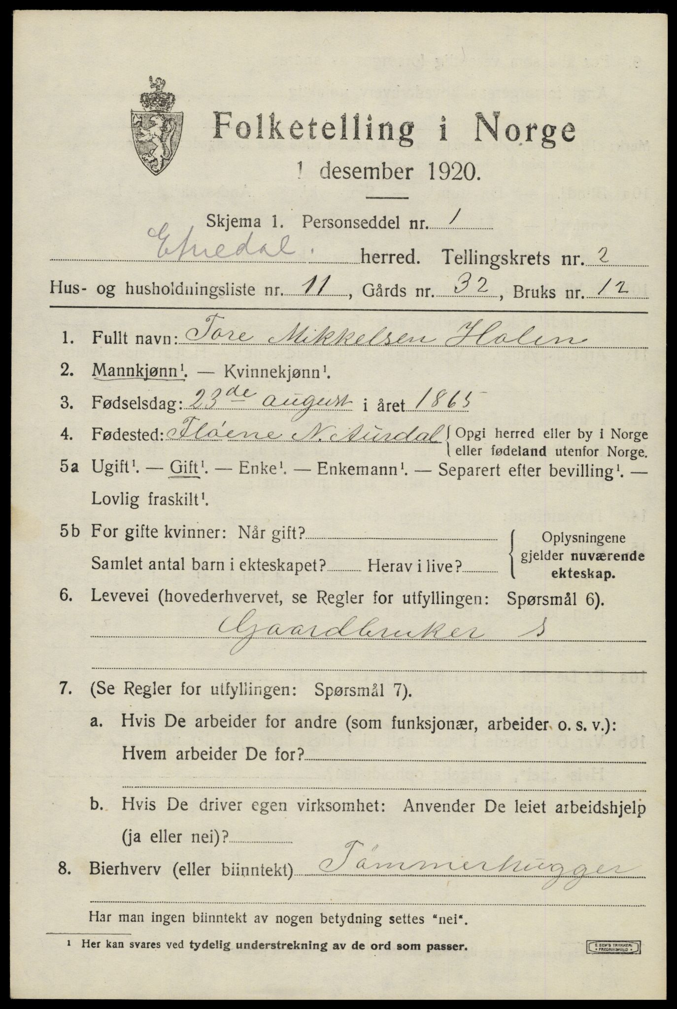 SAH, 1920 census for Etnedal, 1920, p. 1150