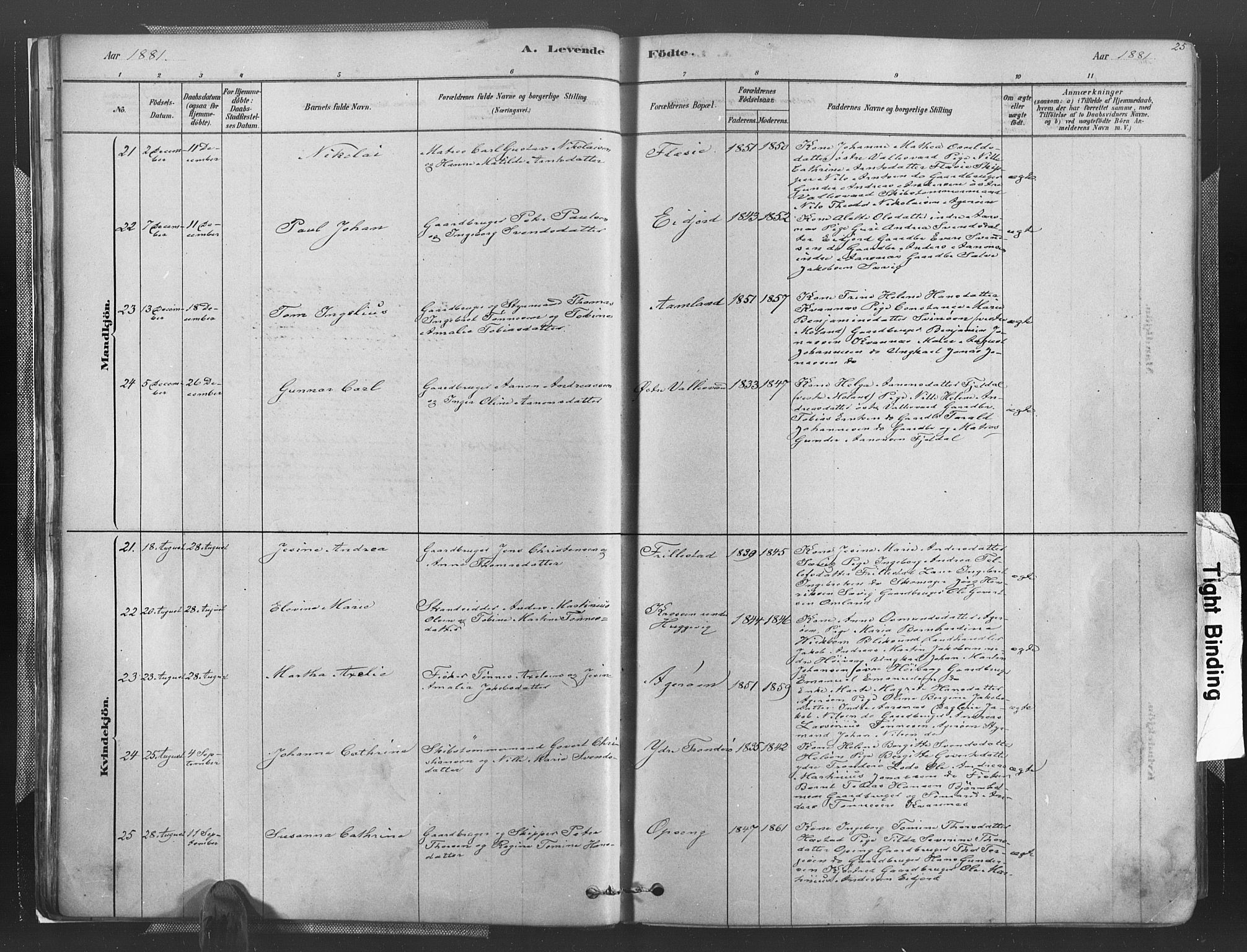 Høvåg sokneprestkontor, AV/SAK-1111-0025/F/Fa/L0005: Parish register (official) no. A 5, 1878-1893, p. 25