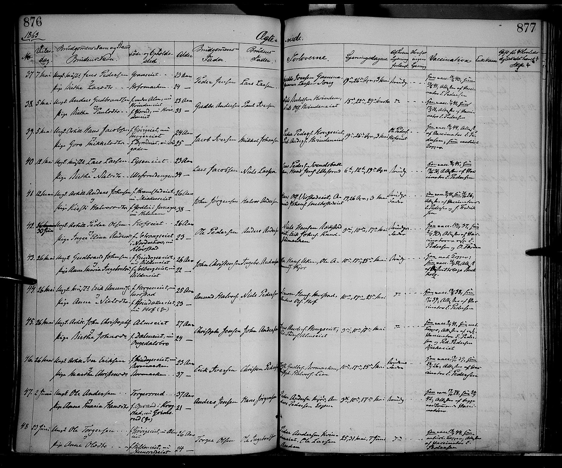 Gran prestekontor, AV/SAH-PREST-112/H/Ha/Haa/L0012: Parish register (official) no. 12, 1856-1874, p. 876-877