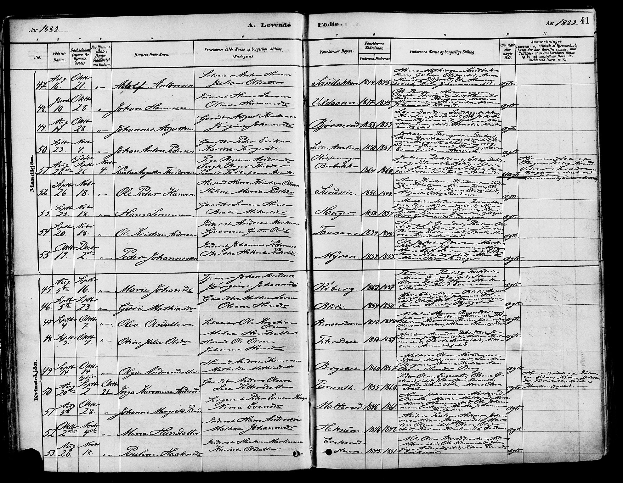 Vestre Toten prestekontor, AV/SAH-PREST-108/H/Ha/Haa/L0009: Parish register (official) no. 9, 1878-1894, p. 41