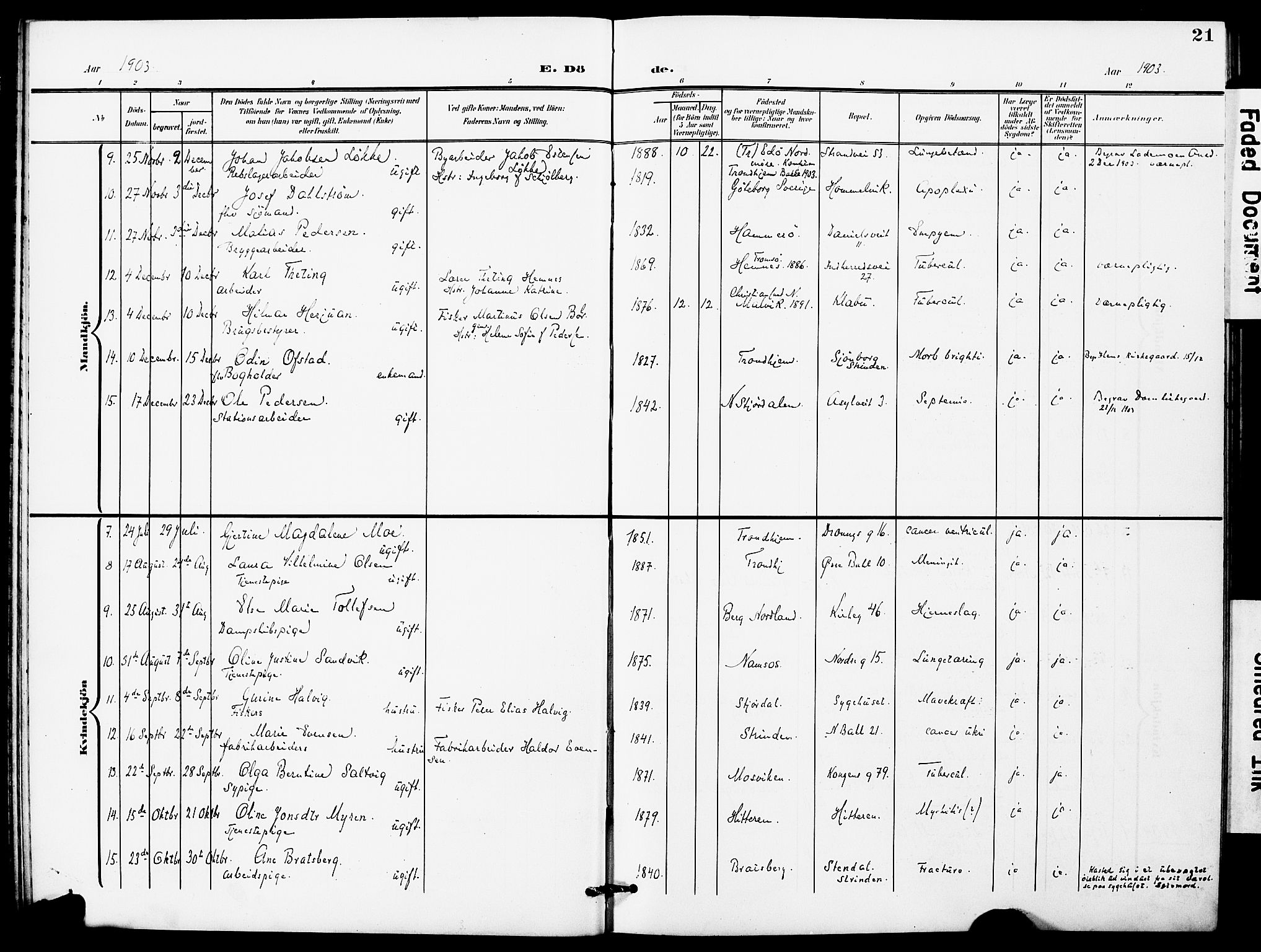 Ministerialprotokoller, klokkerbøker og fødselsregistre - Sør-Trøndelag, SAT/A-1456/628/L0483: Parish register (official) no. 628A01, 1902-1920, p. 21