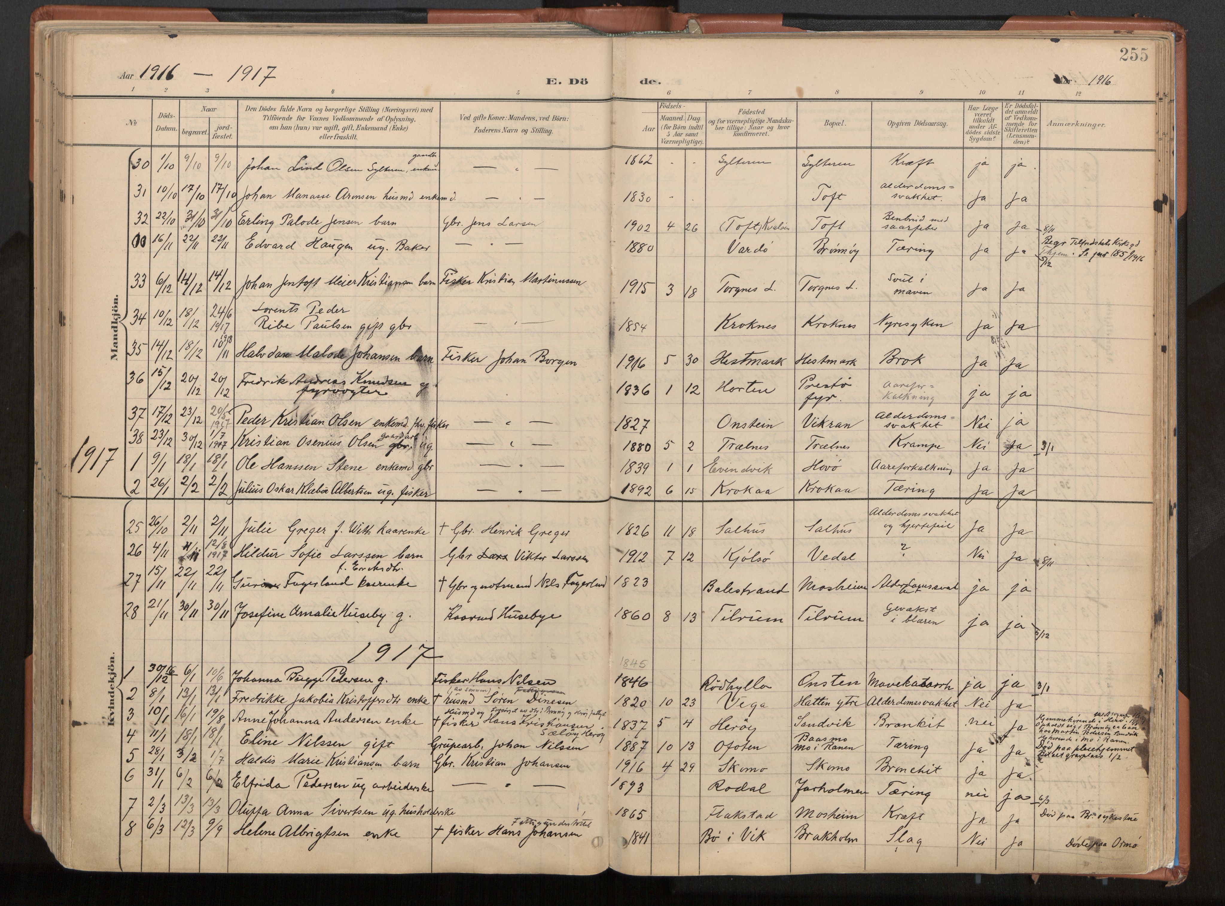 Ministerialprotokoller, klokkerbøker og fødselsregistre - Nordland, SAT/A-1459/813/L0201: Parish register (official) no. 813A11, 1901-1918, p. 255