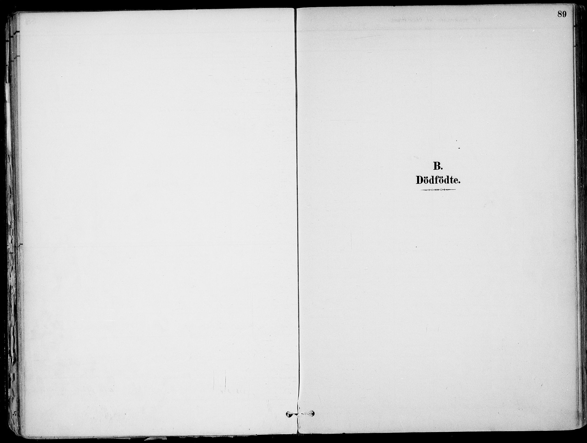 Larvik kirkebøker, AV/SAKO-A-352/F/Fb/L0004: Parish register (official) no. II 4, 1884-1902, p. 89