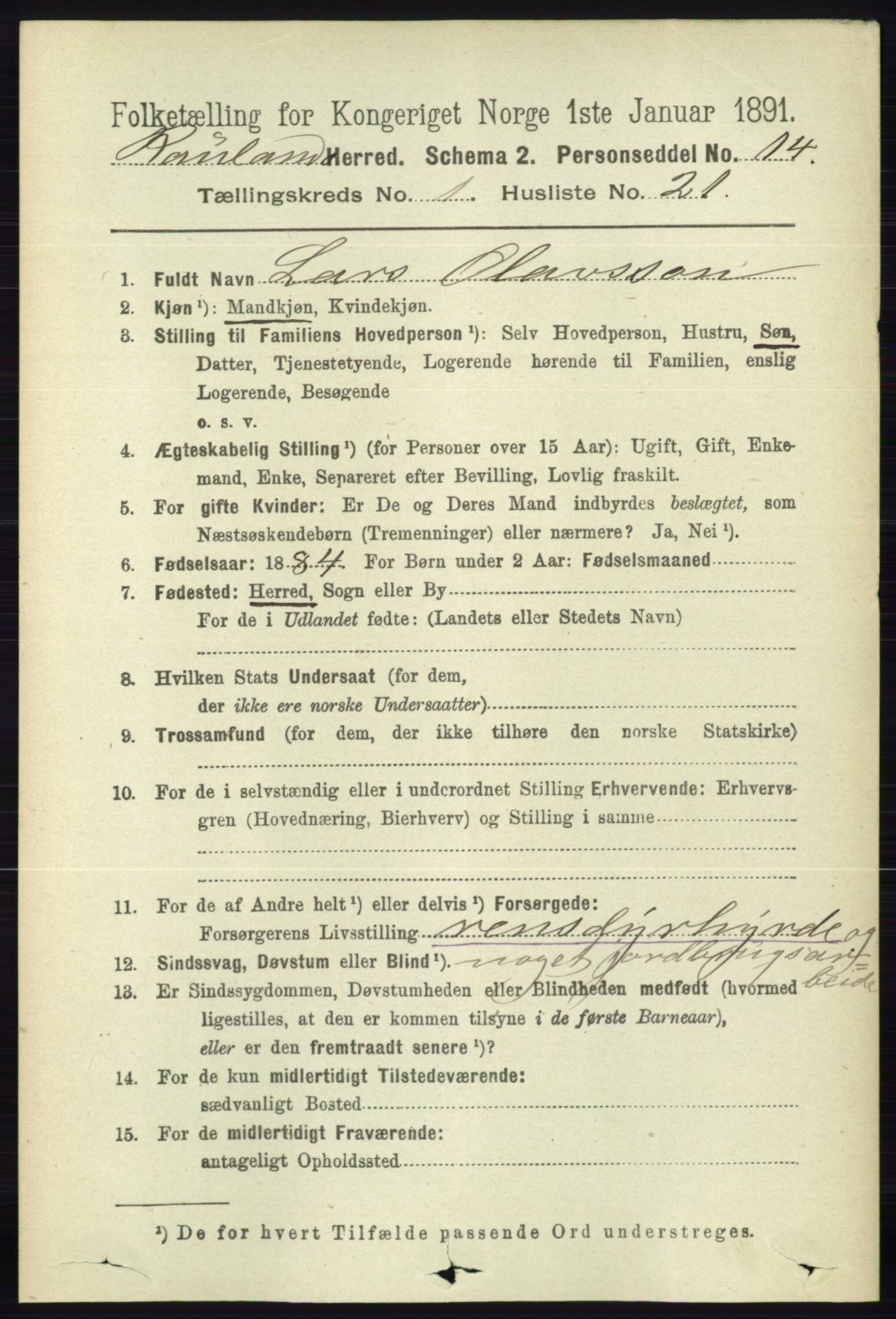 RA, 1891 census for 0835 Rauland, 1891, p. 176