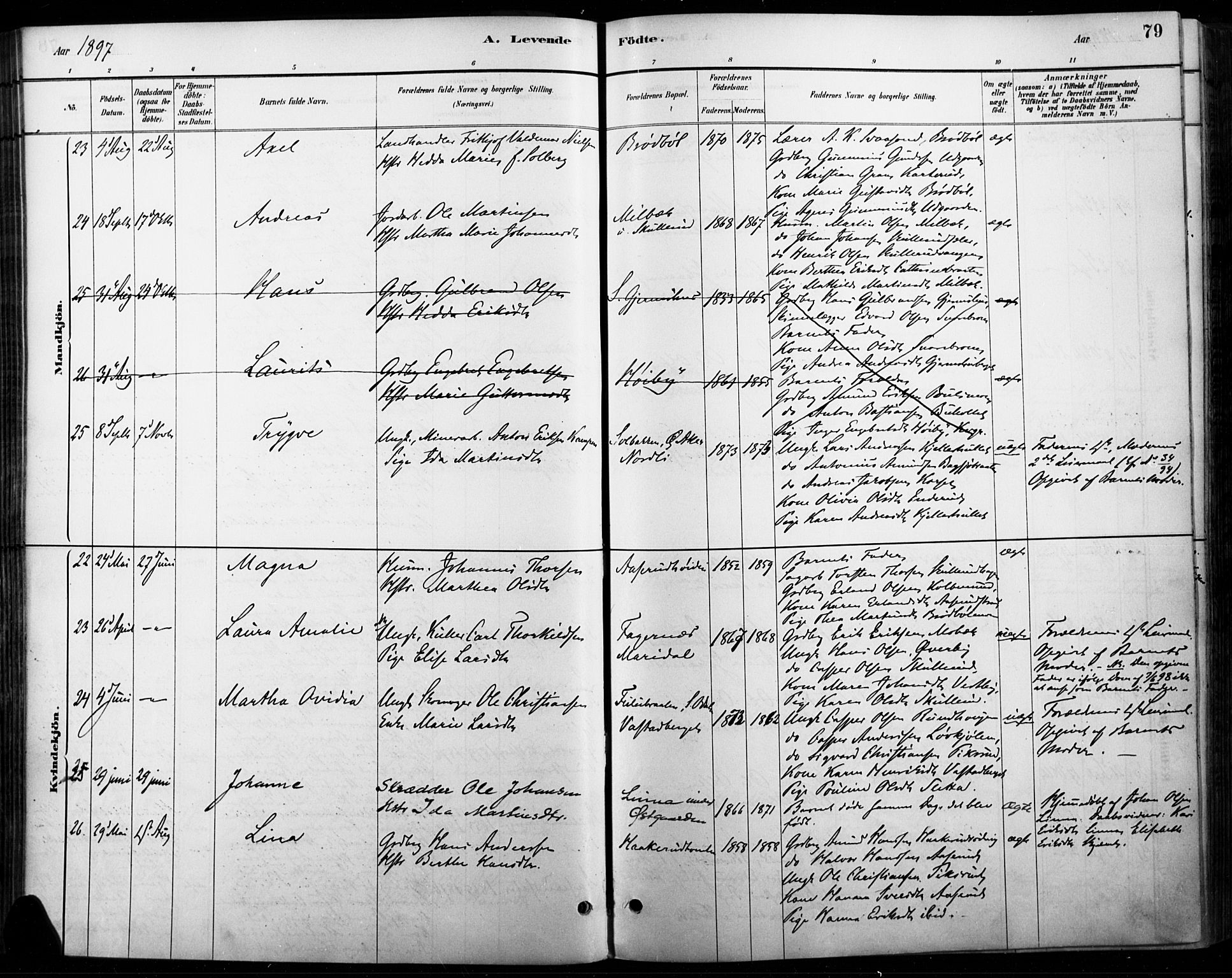 Vinger prestekontor, AV/SAH-PREST-024/H/Ha/Haa/L0015: Parish register (official) no. 15, 1881-1900, p. 79