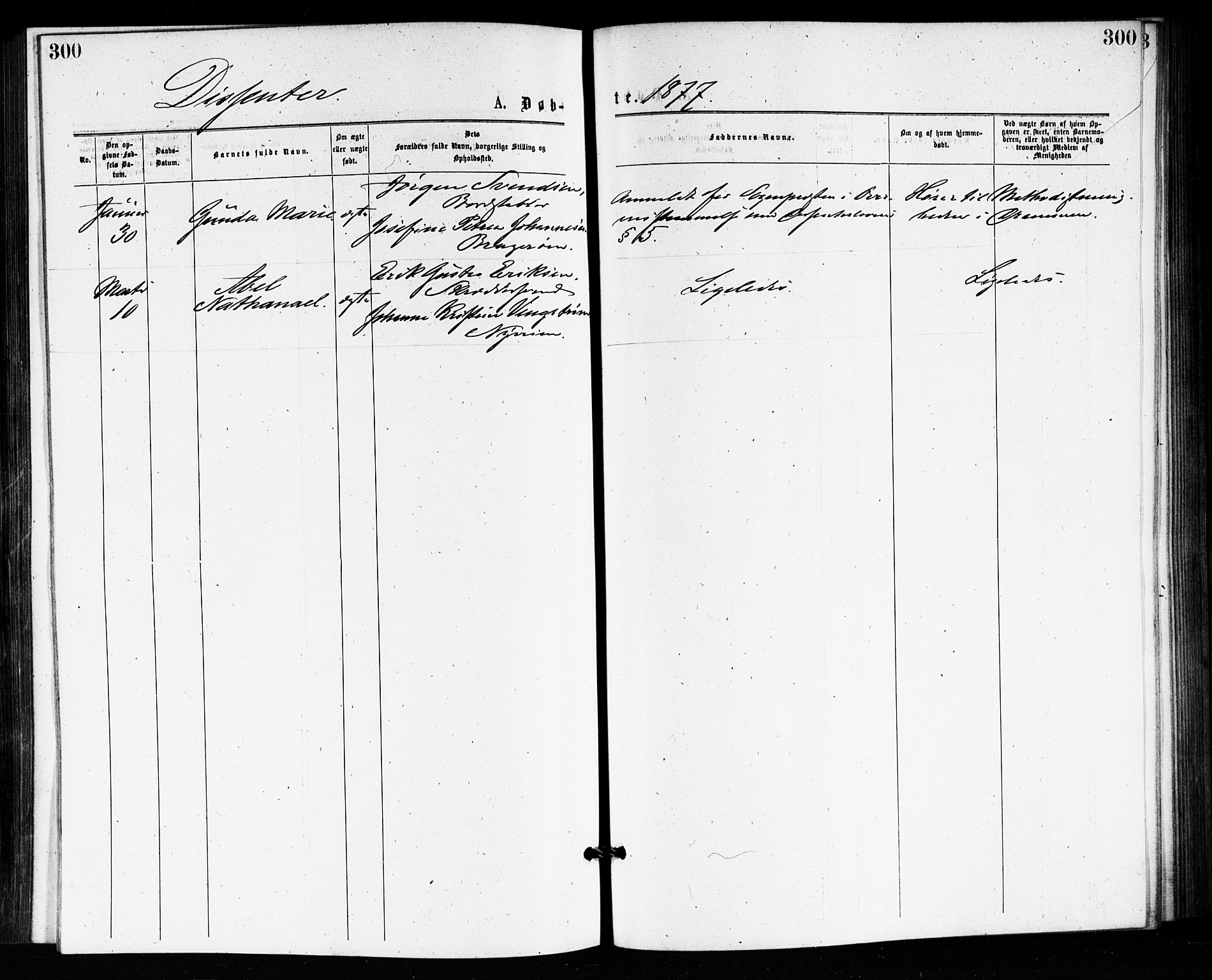 Bragernes kirkebøker, AV/SAKO-A-6/F/Fb/L0005: Parish register (official) no. II 5, 1875-1877, p. 300