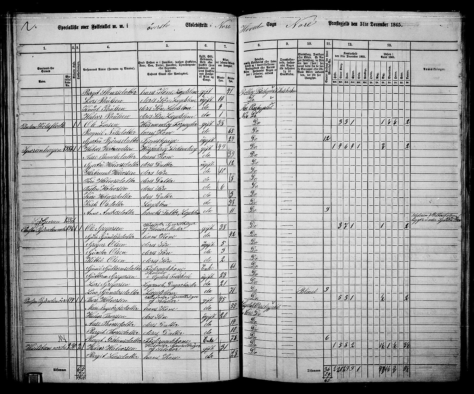 RA, 1865 census for Nore, 1865, p. 71