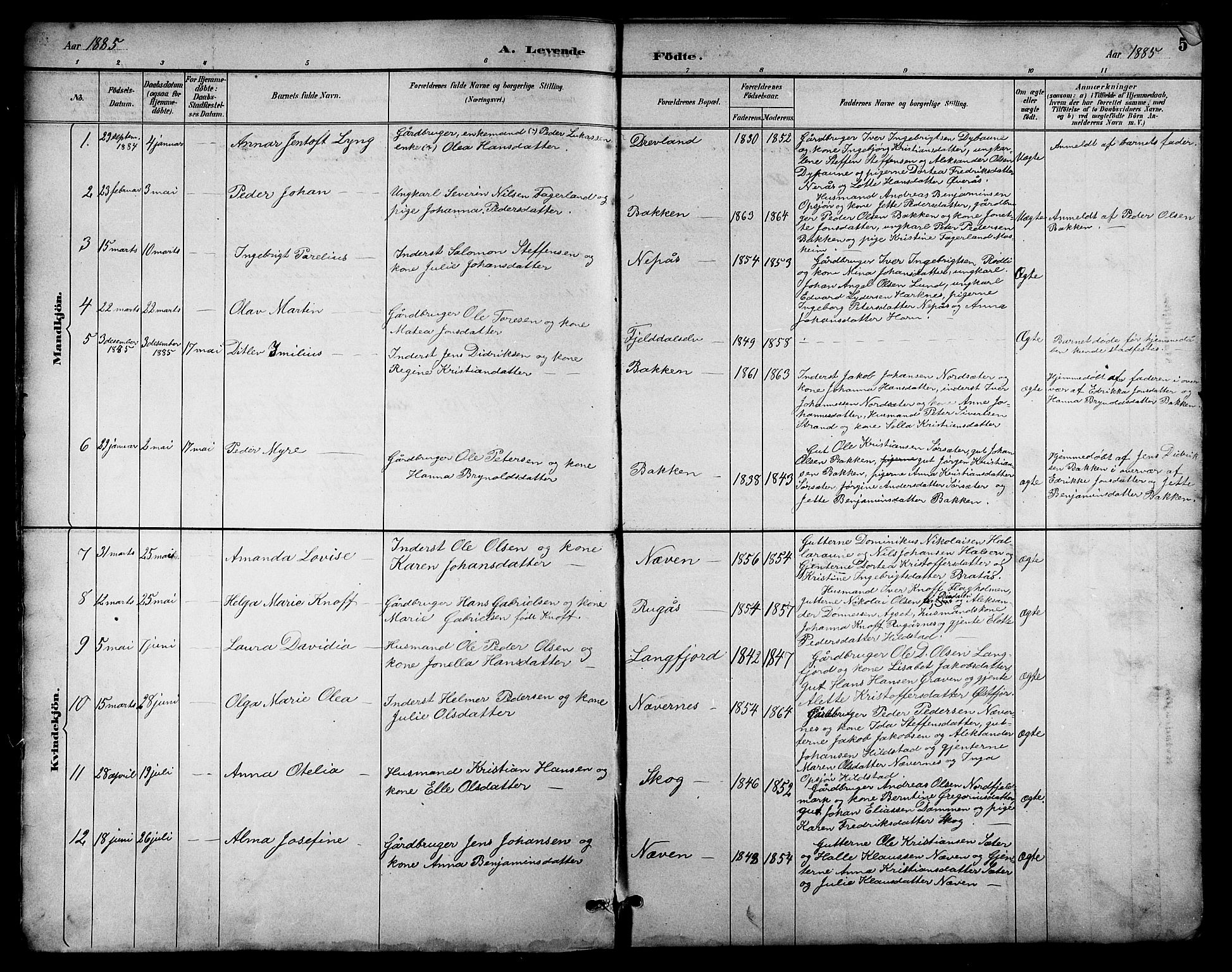 Ministerialprotokoller, klokkerbøker og fødselsregistre - Nordland, AV/SAT-A-1459/814/L0230: Parish register (copy) no. 814C03, 1884-1911, p. 5