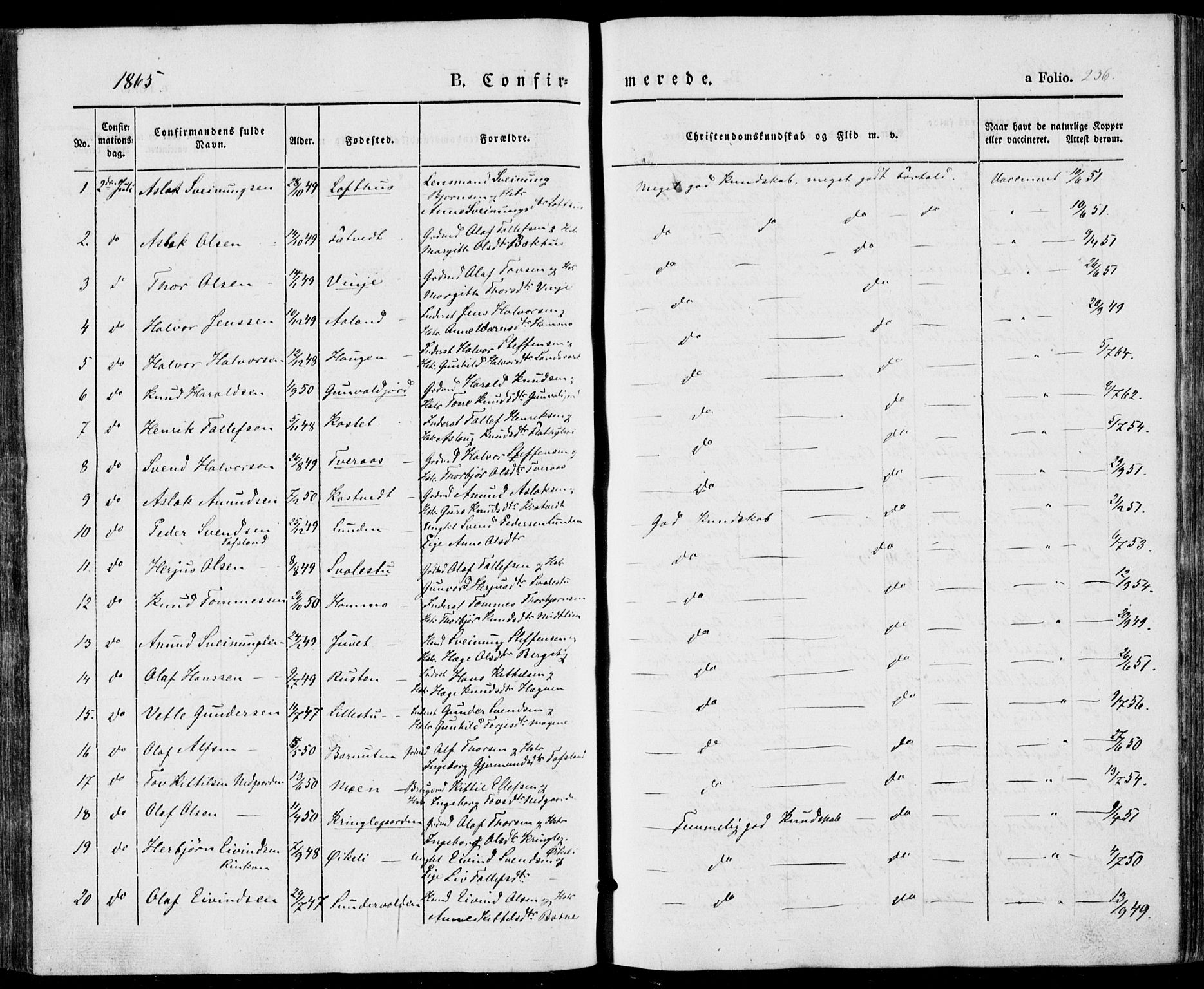 Vinje kirkebøker, SAKO/A-312/F/Fa/L0004: Parish register (official) no. I 4, 1843-1869, p. 236
