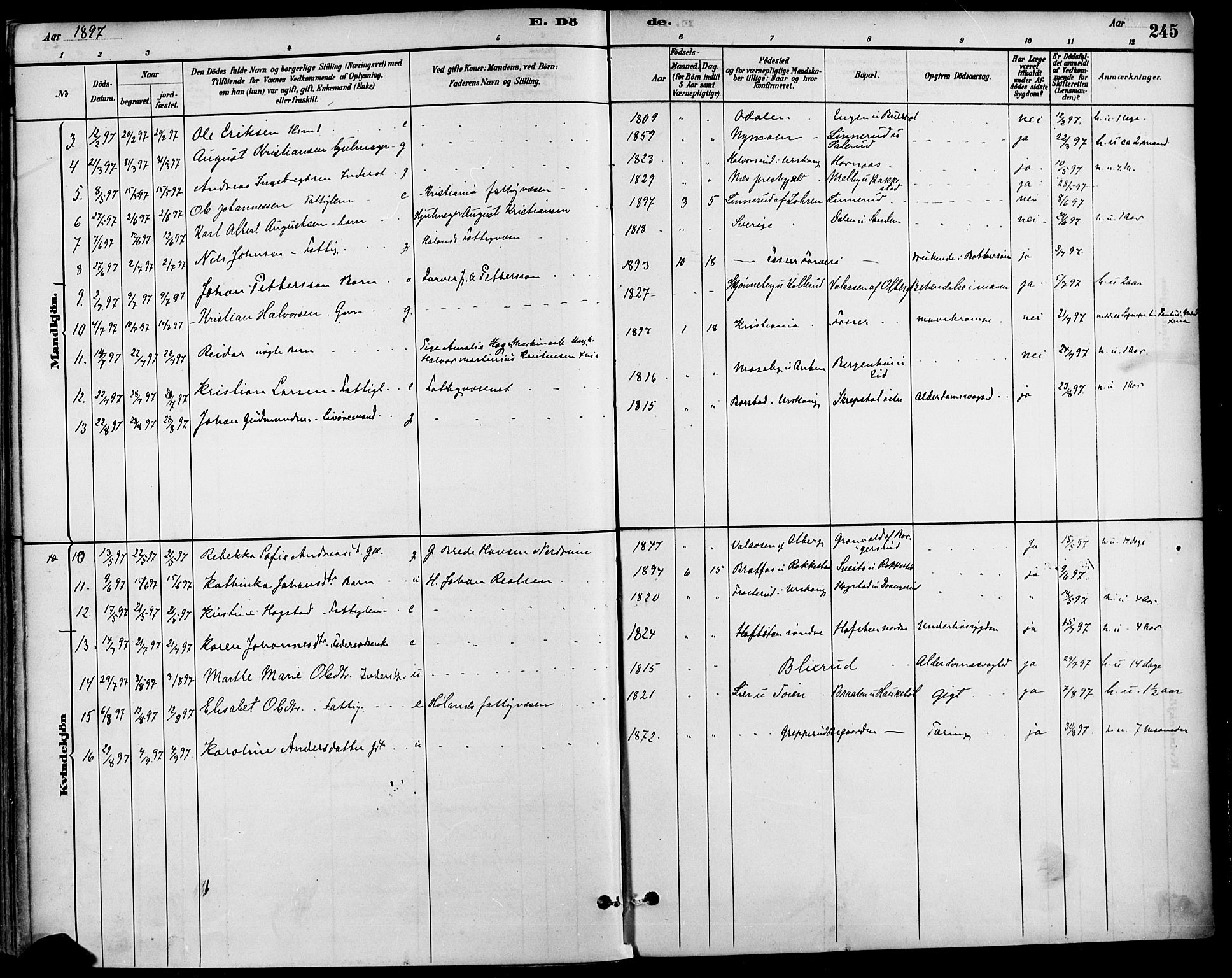 Høland prestekontor Kirkebøker, SAO/A-10346a/F/Fa/L0013: Parish register (official) no. I 13, 1880-1897, p. 245