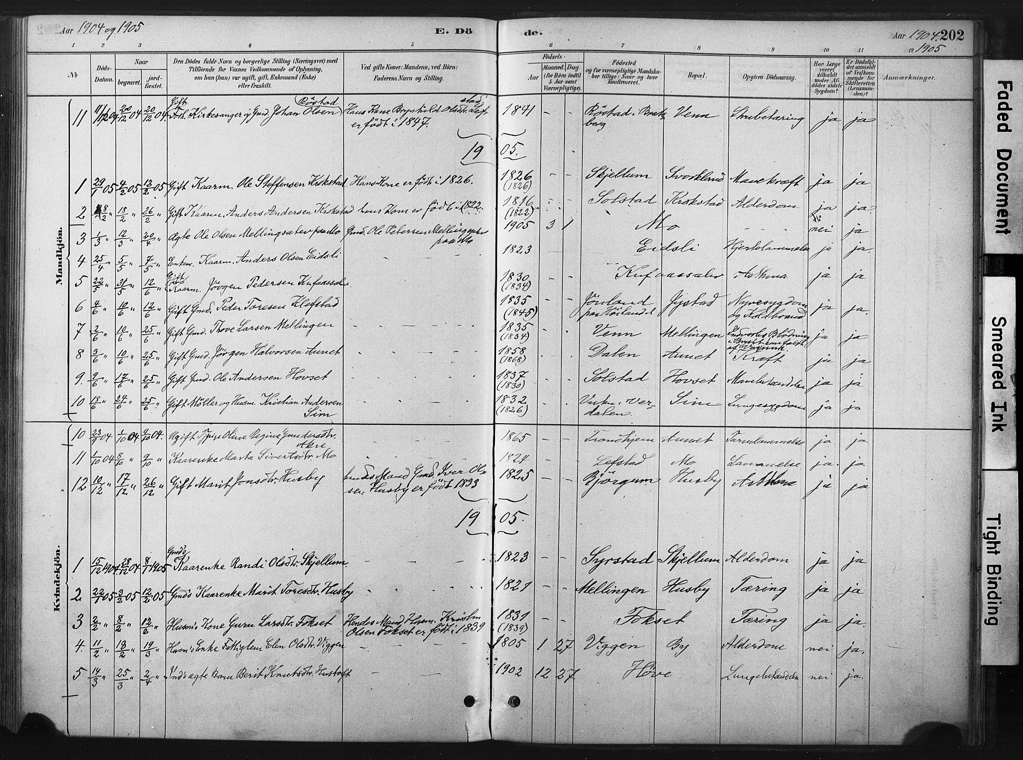 Ministerialprotokoller, klokkerbøker og fødselsregistre - Sør-Trøndelag, AV/SAT-A-1456/667/L0795: Parish register (official) no. 667A03, 1879-1907, p. 202