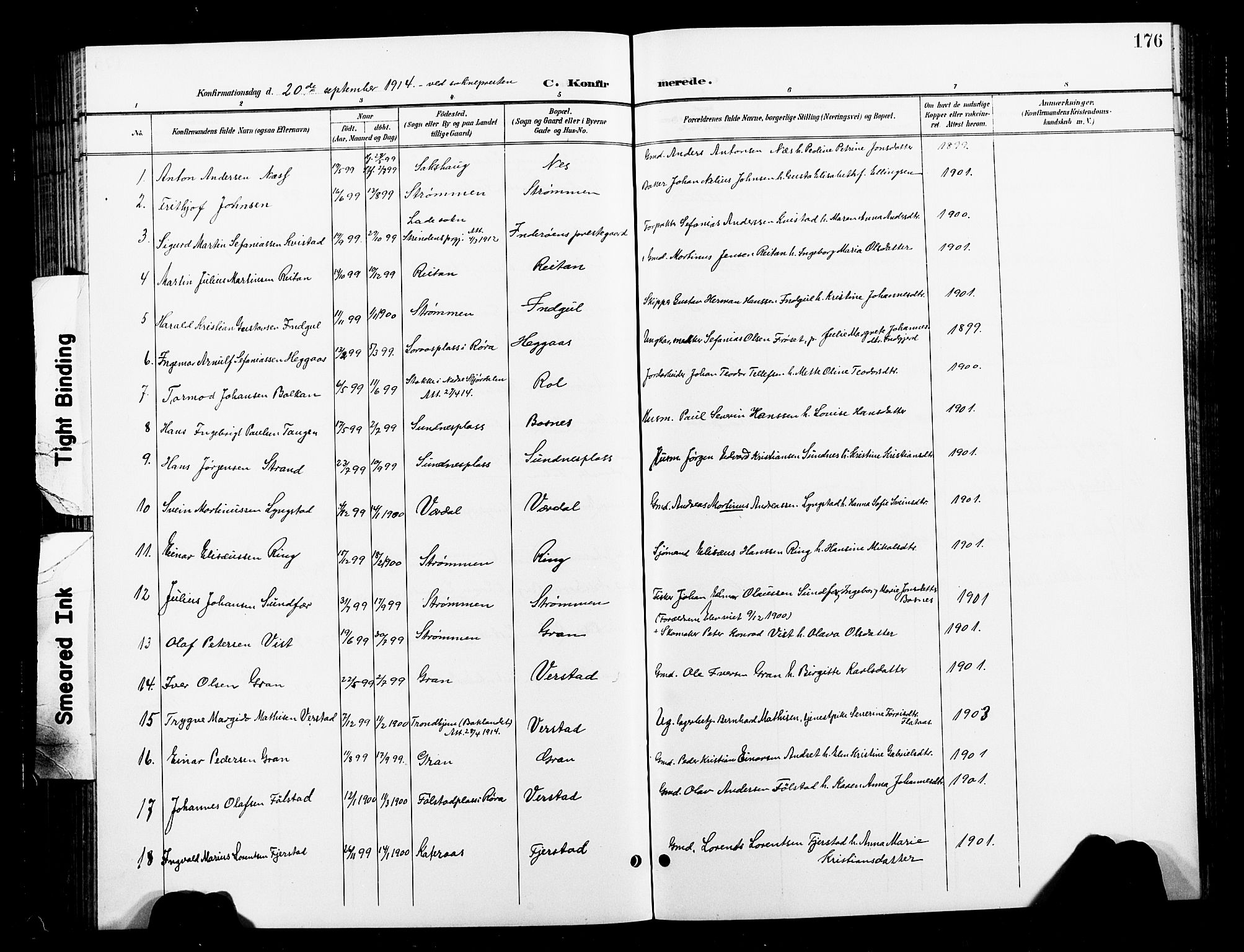 Ministerialprotokoller, klokkerbøker og fødselsregistre - Nord-Trøndelag, SAT/A-1458/730/L0302: Parish register (copy) no. 730C05, 1898-1924, p. 176