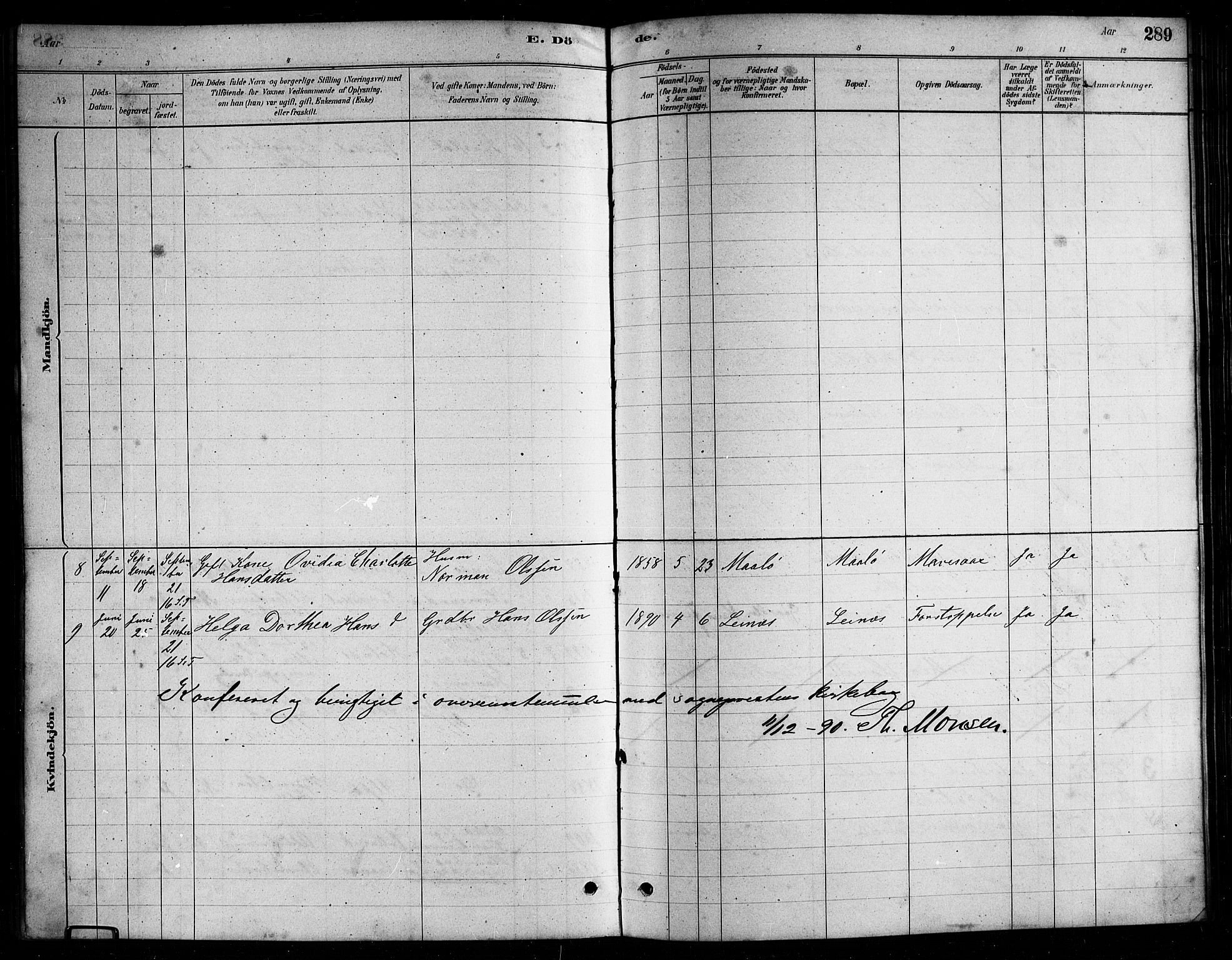 Ministerialprotokoller, klokkerbøker og fødselsregistre - Nordland, AV/SAT-A-1459/857/L0828: Parish register (copy) no. 857C03, 1879-1908, p. 289