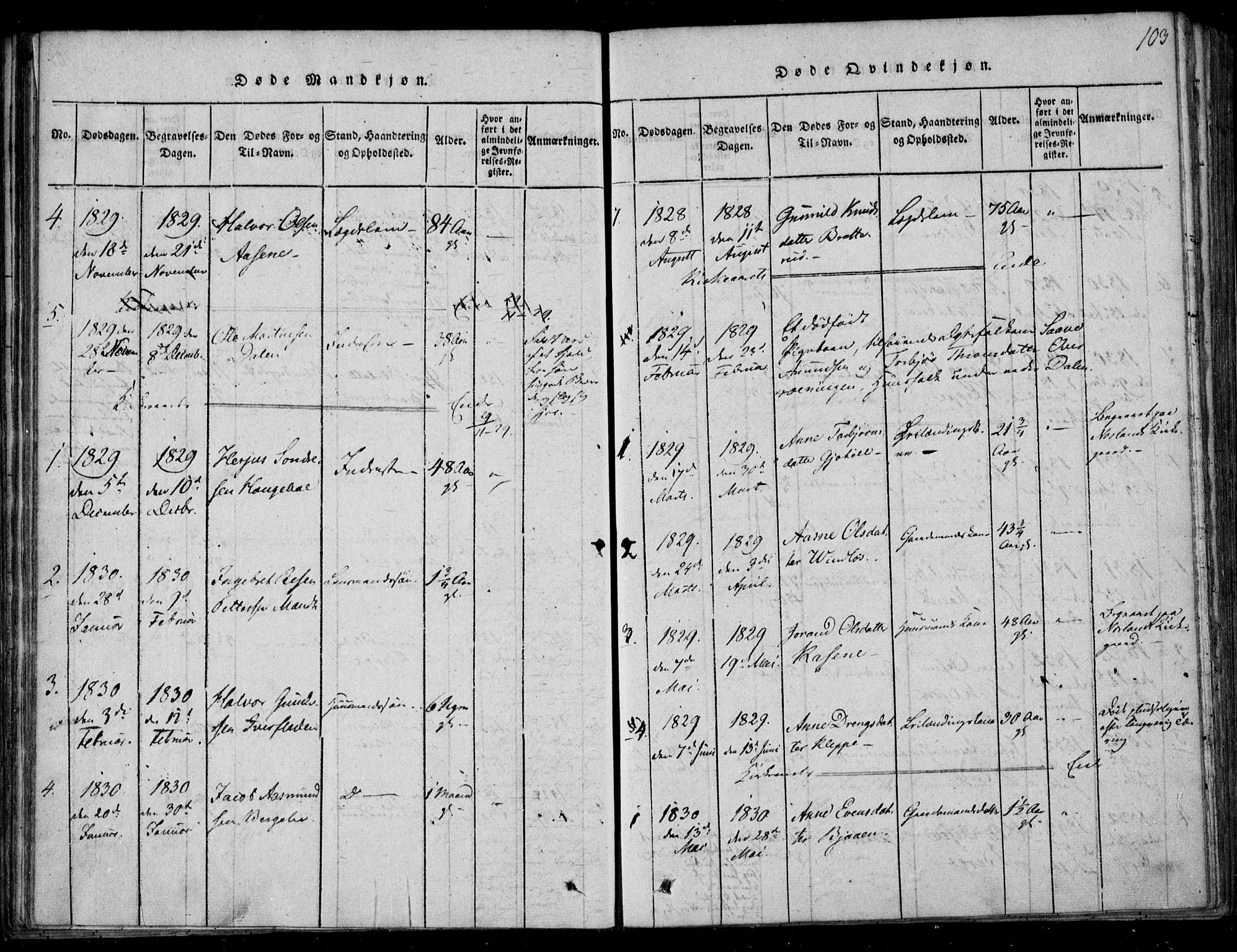 Lårdal kirkebøker, SAKO/A-284/F/Fb/L0001: Parish register (official) no. II 1, 1815-1860, p. 103