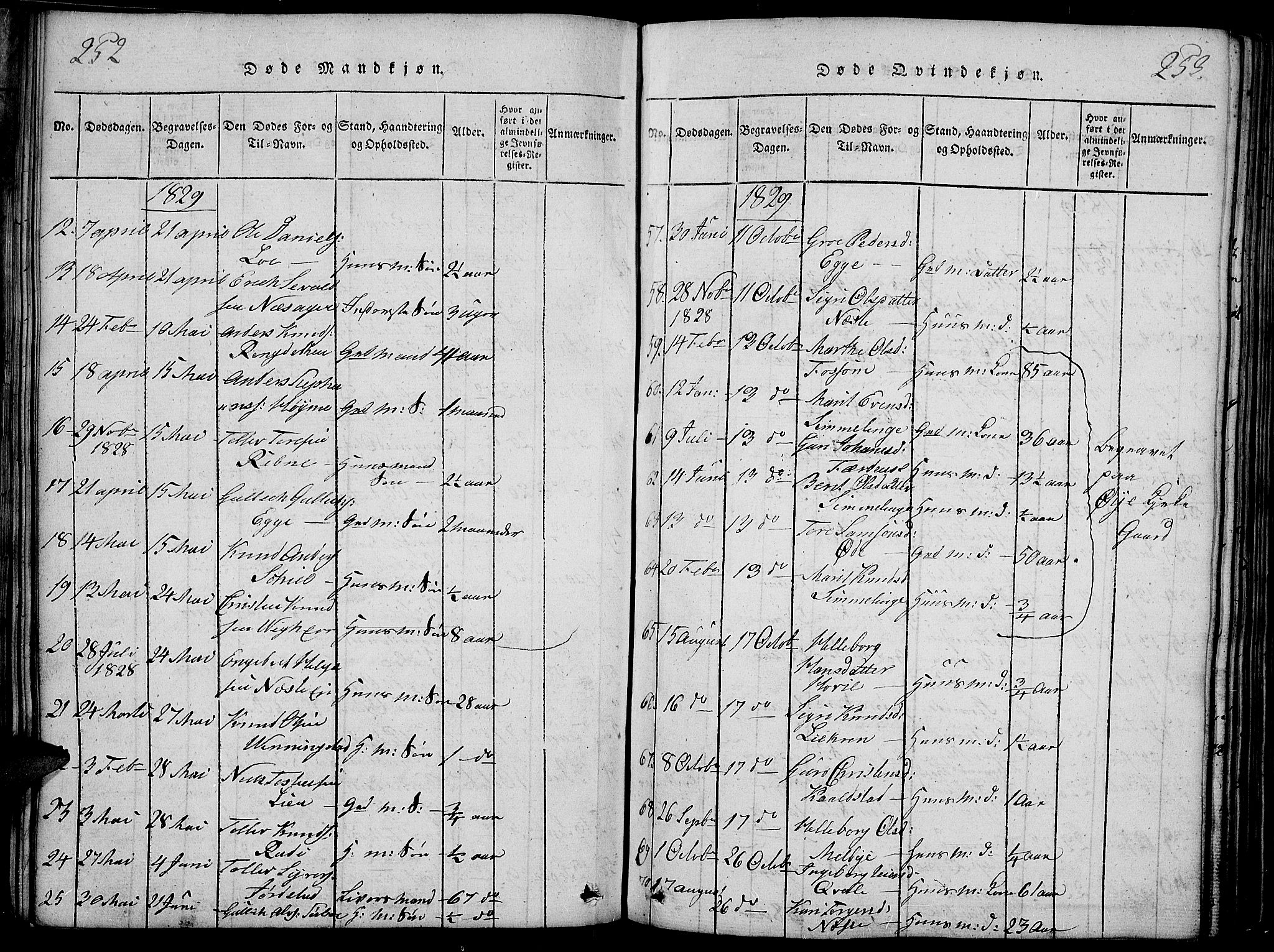 Slidre prestekontor, SAH/PREST-134/H/Ha/Haa/L0002: Parish register (official) no. 2, 1814-1830, p. 252-253