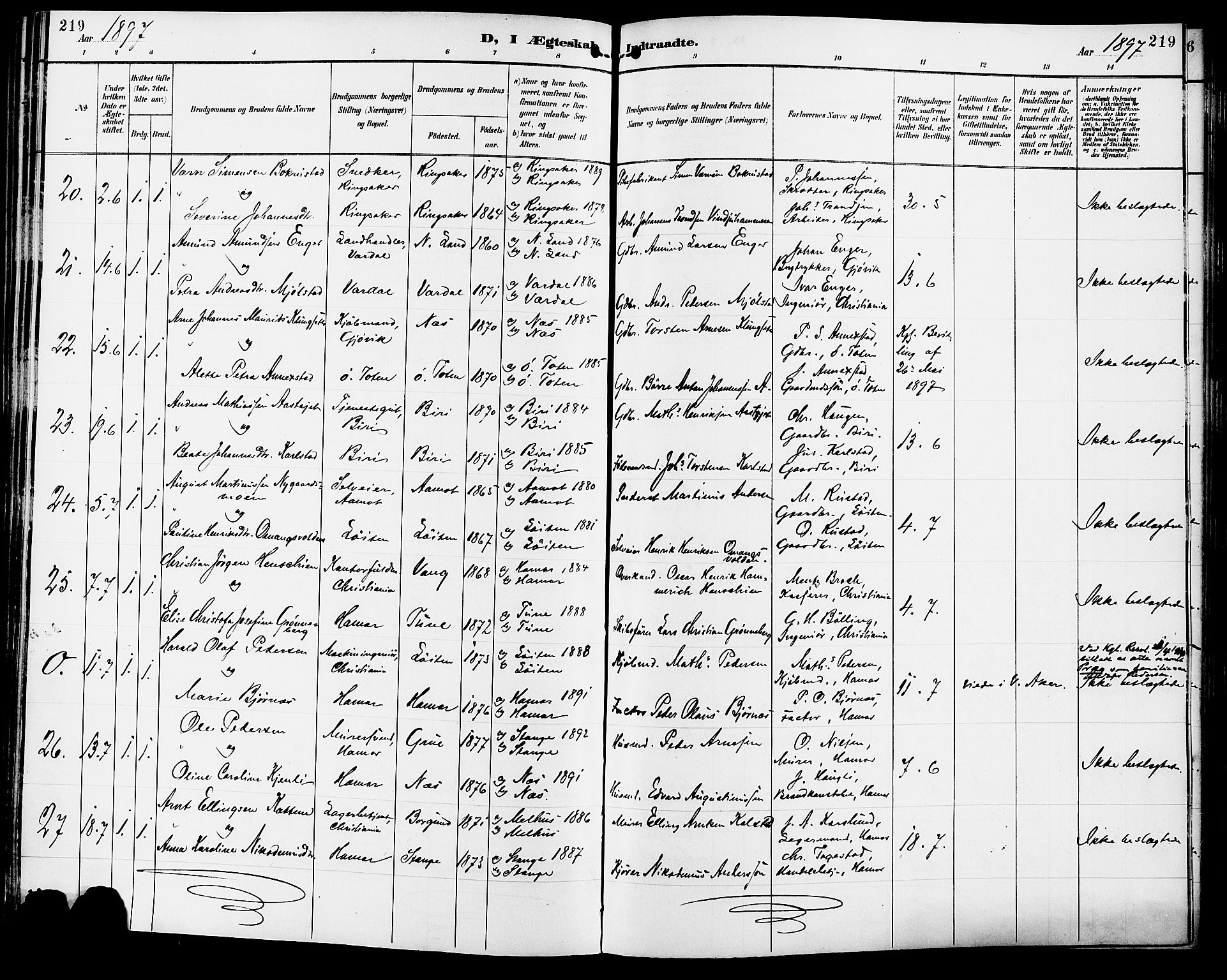 Vang prestekontor, Hedmark, AV/SAH-PREST-008/H/Ha/Haa/L0017: Parish register (official) no. 17, 1890-1899, p. 219