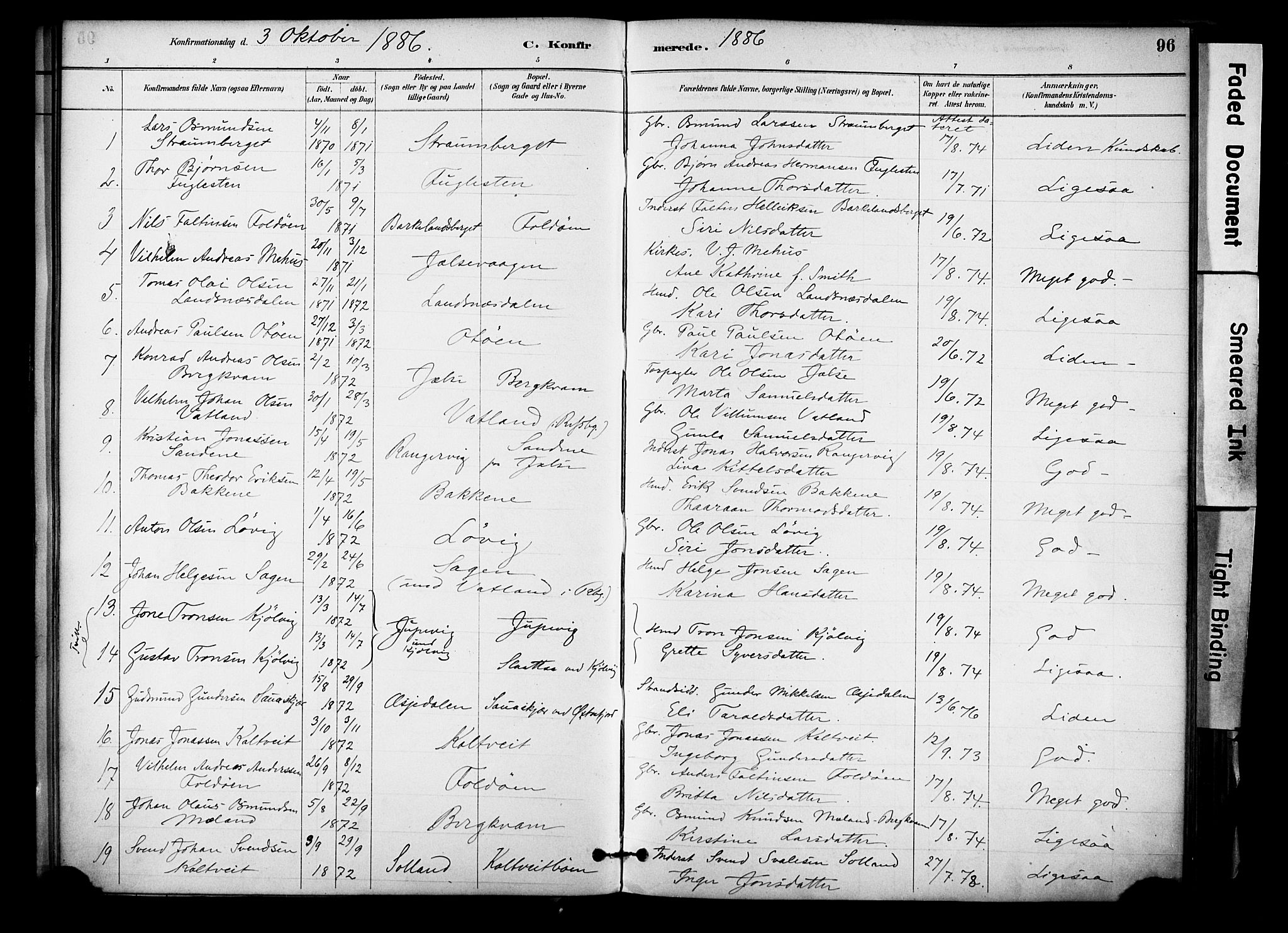Jelsa sokneprestkontor, SAST/A-101842/01/IV: Parish register (official) no. A 10, 1884-1906, p. 96