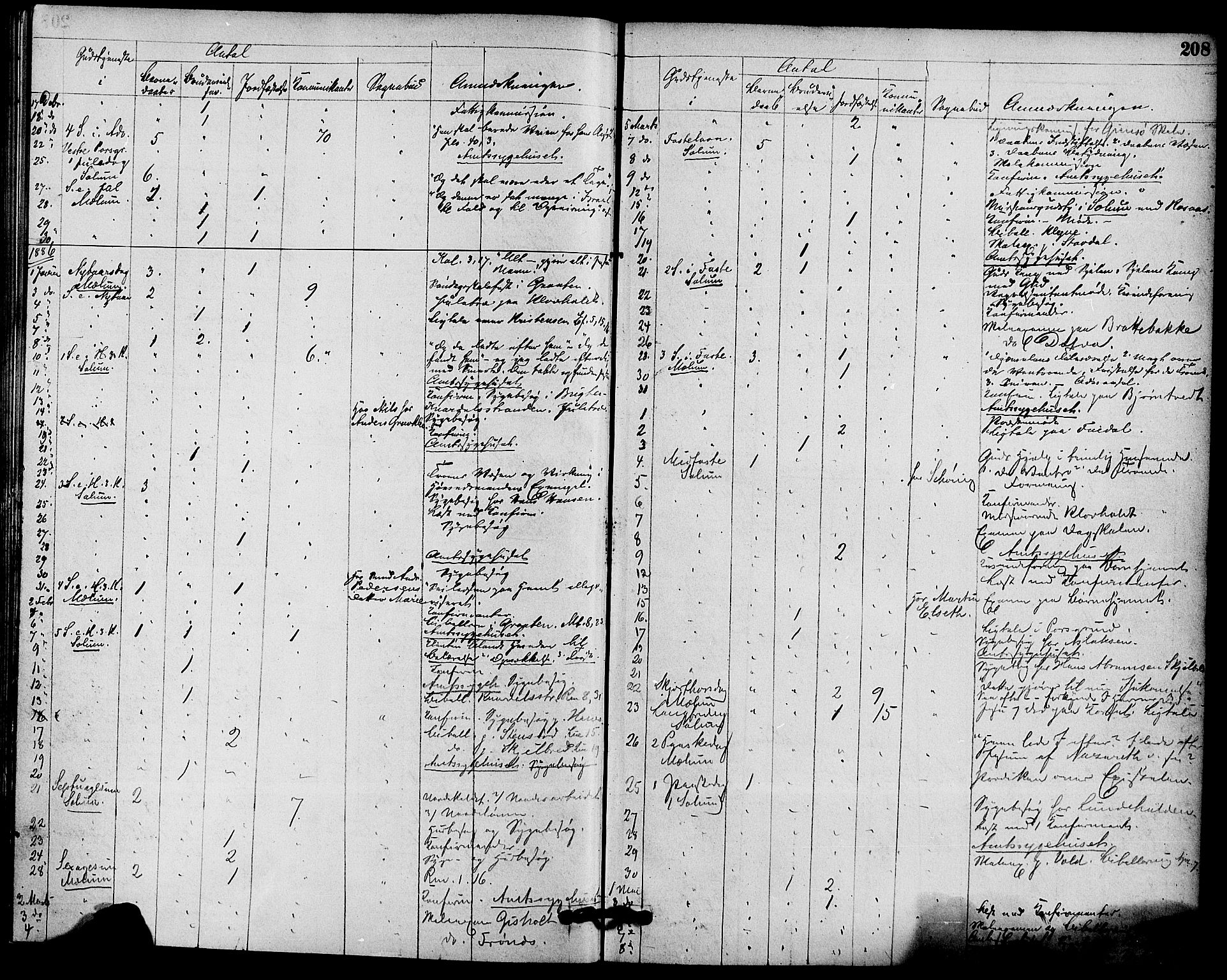 Solum kirkebøker, AV/SAKO-A-306/F/Fb/L0001: Parish register (official) no. II 1, 1877-1892, p. 208