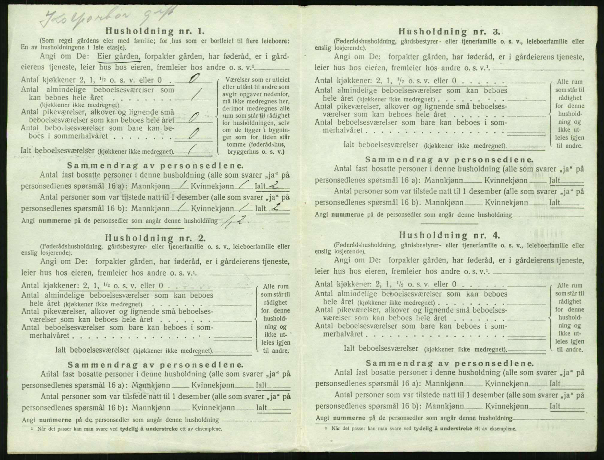 SAT, 1920 census for Borge, 1920, p. 1148