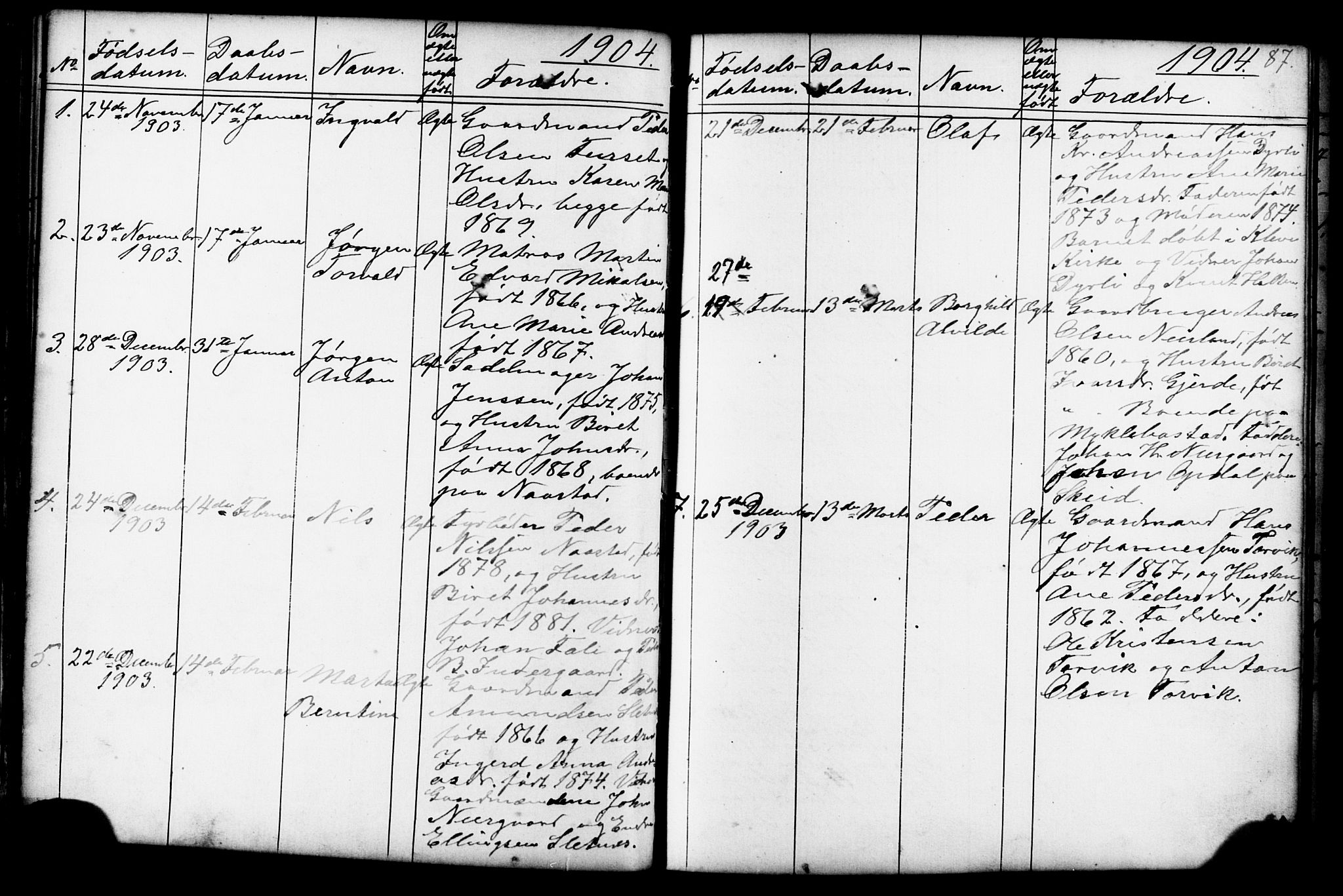 Ministerialprotokoller, klokkerbøker og fødselsregistre - Møre og Romsdal, AV/SAT-A-1454/584/L0969: Parish register (copy) no. 584C02, 1877-1911, p. 87