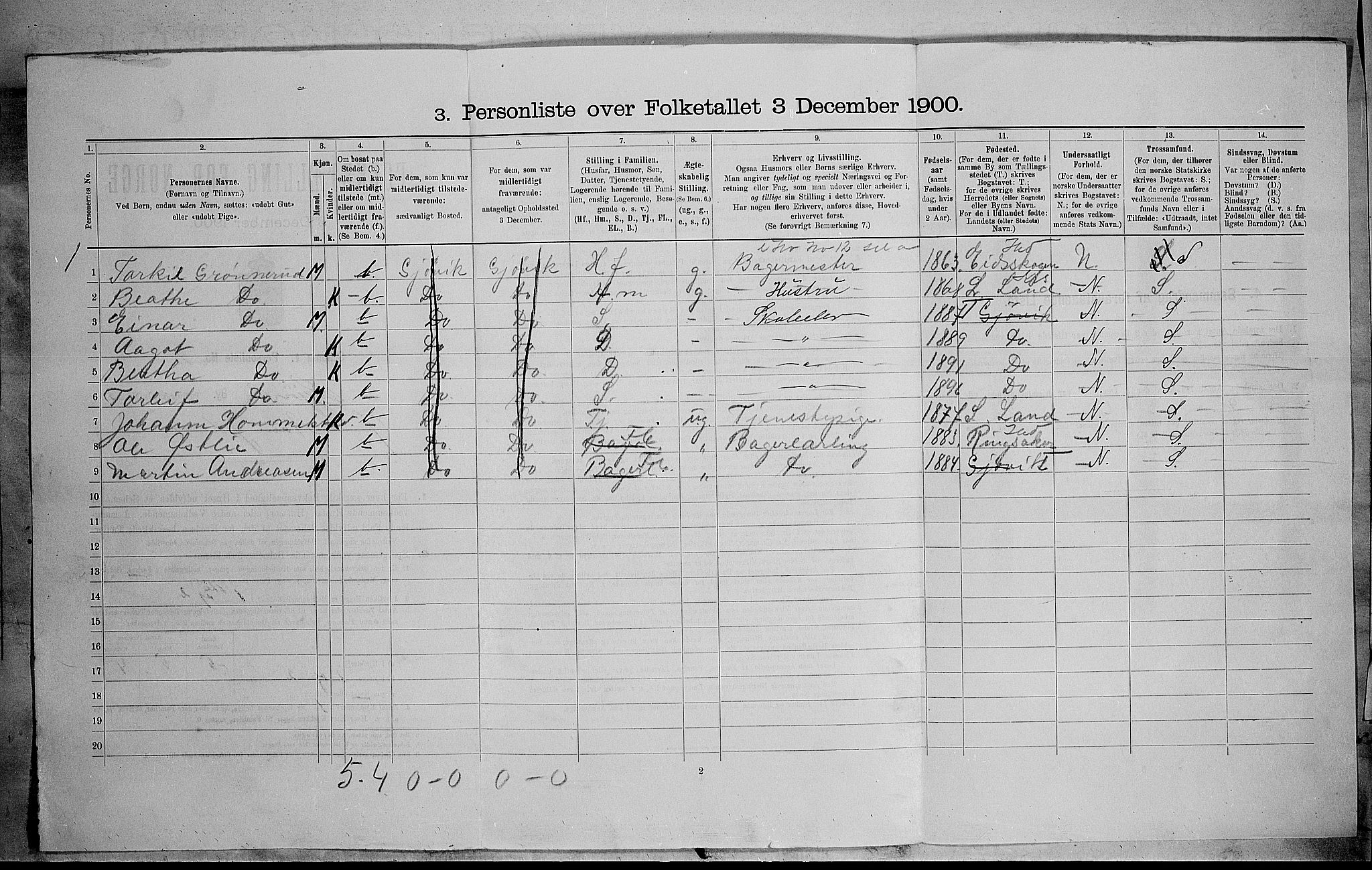 SAH, 1900 census for Gjøvik, 1900, p. 314