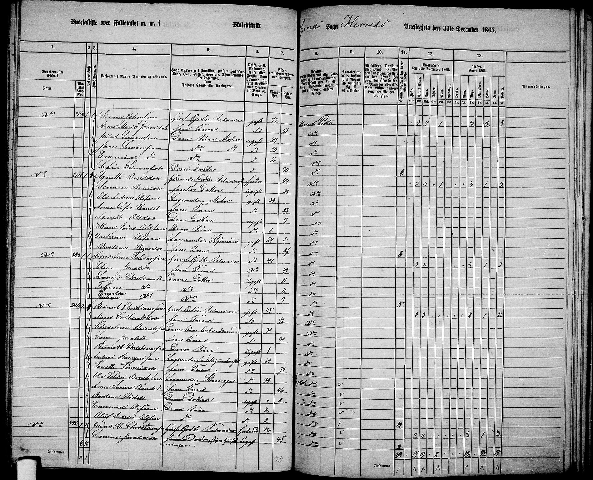 RA, 1865 census for Herad, 1865, p. 67