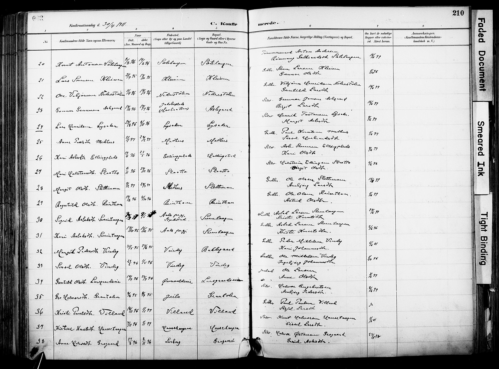 Hol kirkebøker, AV/SAKO-A-227/F/Fa/L0003: Parish register (official) no. I 3, 1887-1918, p. 210