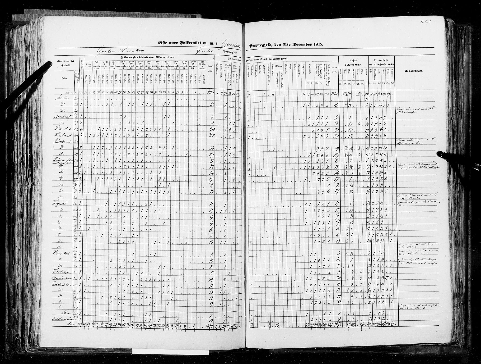 RA, Census 1845, vol. 5: Bratsberg amt og Nedenes og Råbyggelaget amt, 1845, p. 223