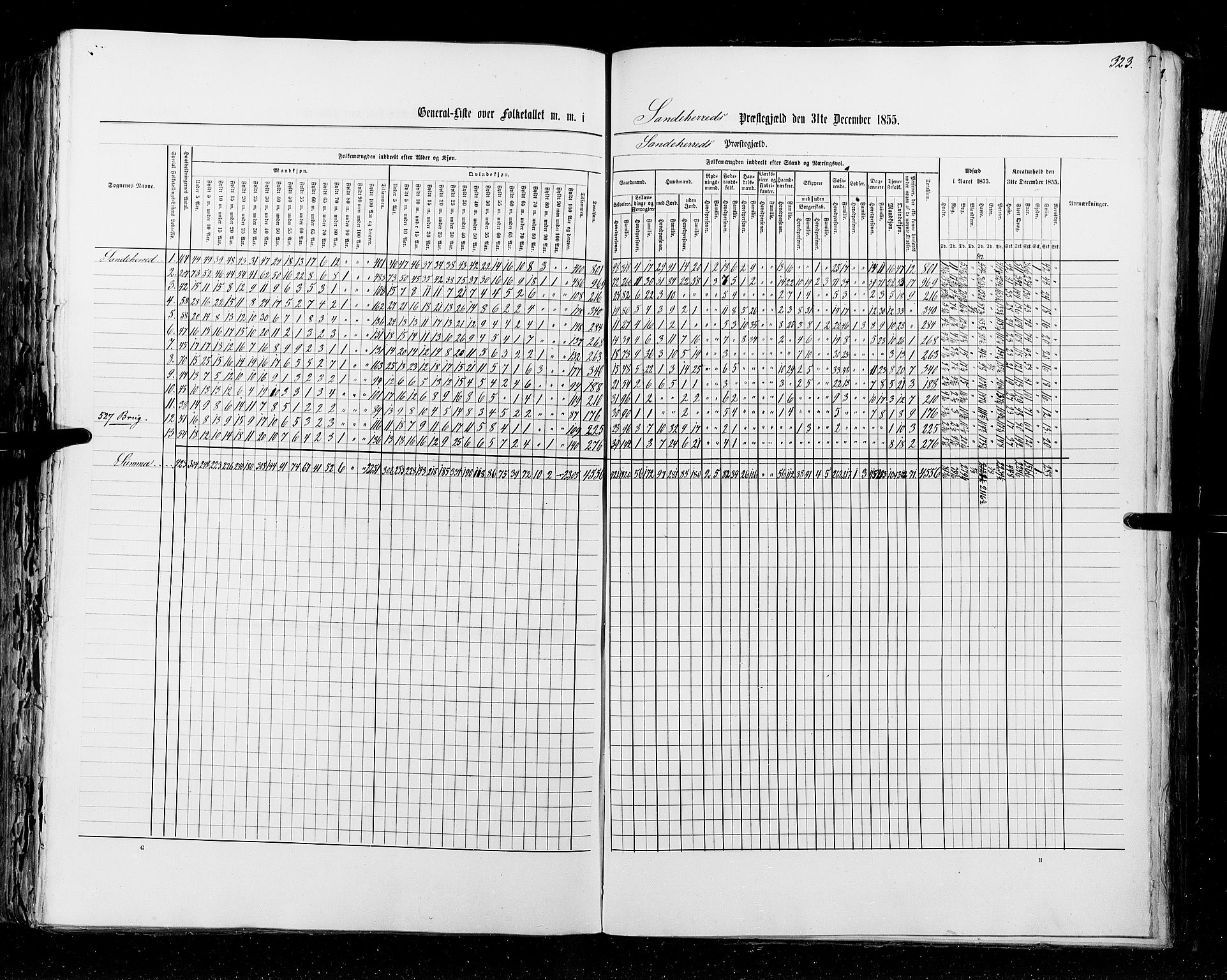 RA, Census 1855, vol. 2: Kristians amt, Buskerud amt og Jarlsberg og Larvik amt, 1855, p. 323