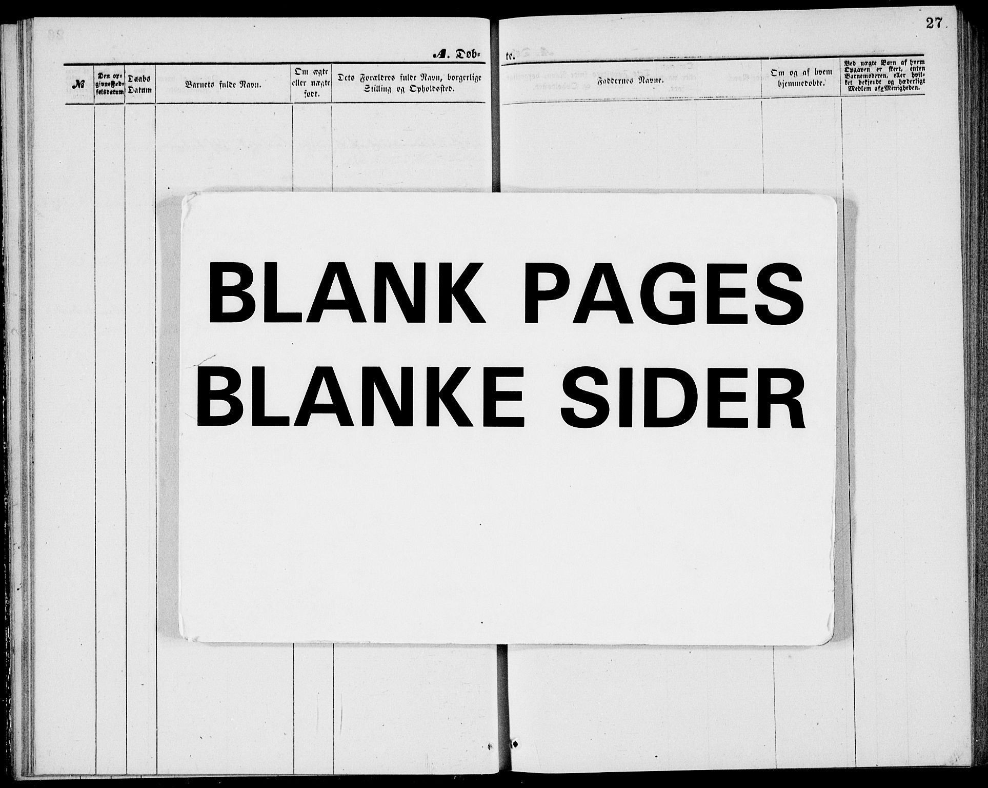 Bamble kirkebøker, AV/SAKO-A-253/G/Ga/L0007: Parish register (copy) no. I 7, 1876-1877, p. 27