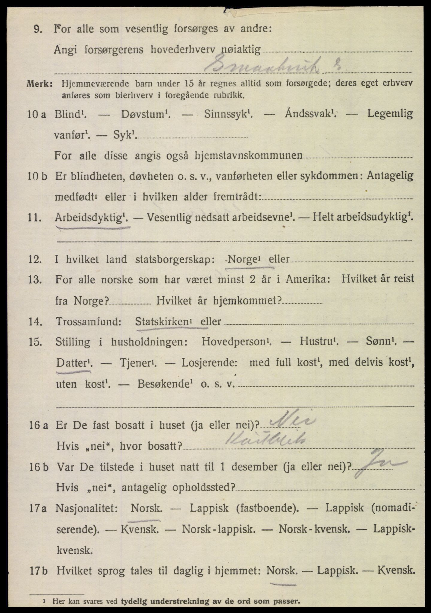 SAT, 1920 census for Fauske, 1920, p. 13489