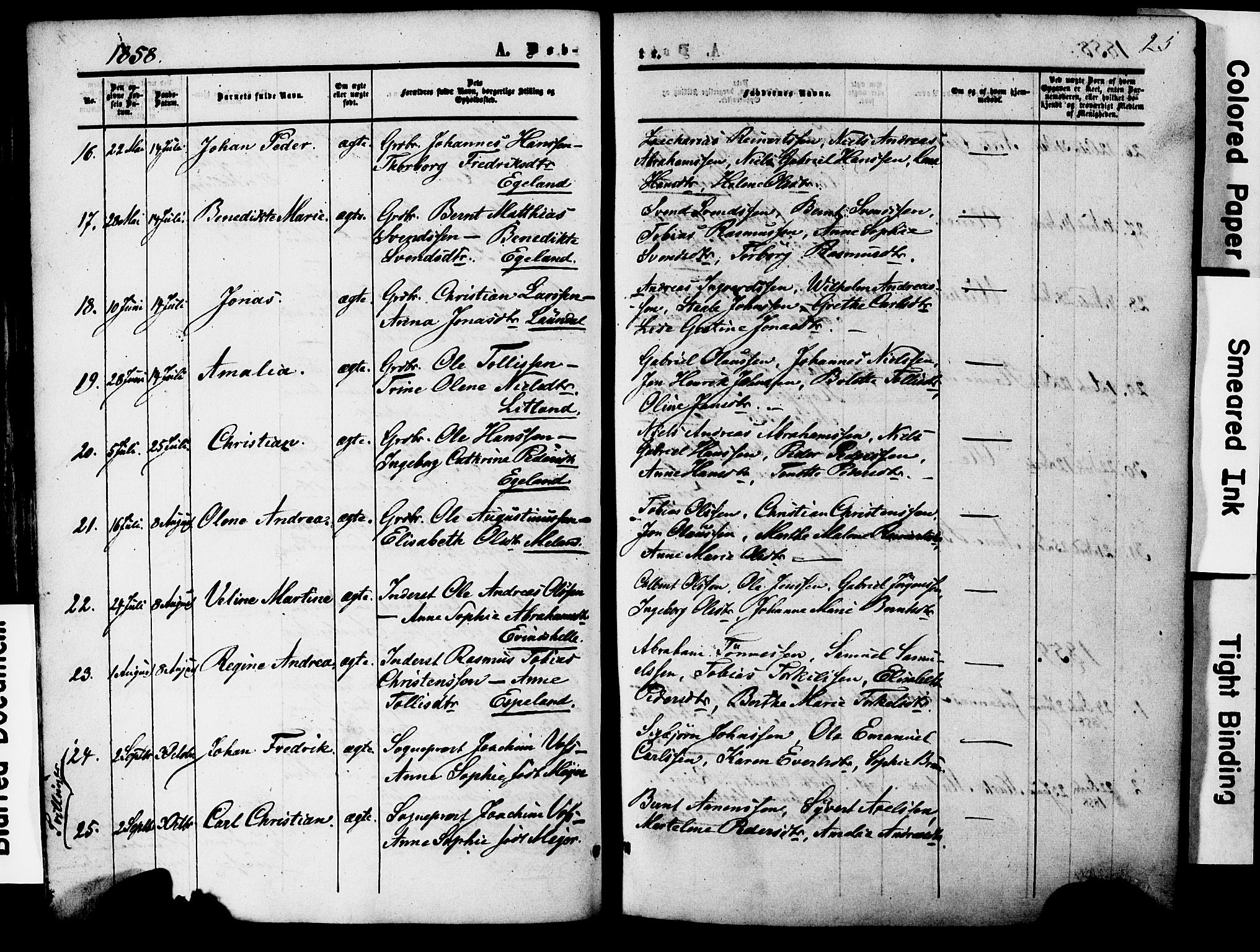 Herad sokneprestkontor, AV/SAK-1111-0018/F/Fa/Faa/L0005: Parish register (official) no. A 5, 1853-1886, p. 25