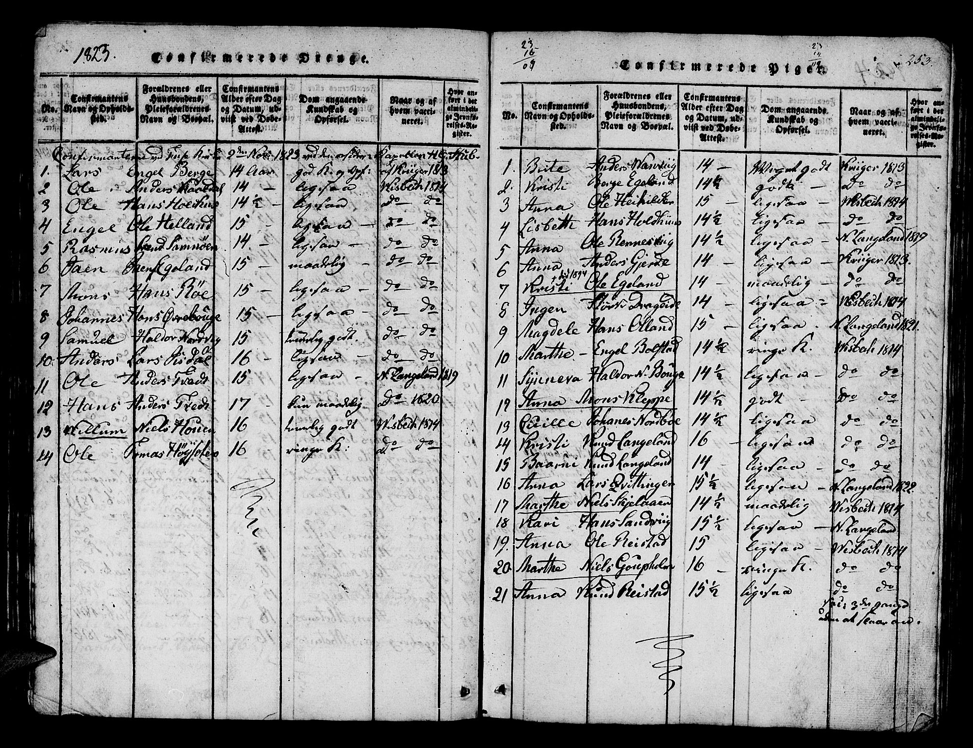 Os sokneprestembete, AV/SAB-A-99929: Parish register (official) no. A 12, 1816-1825, p. 253