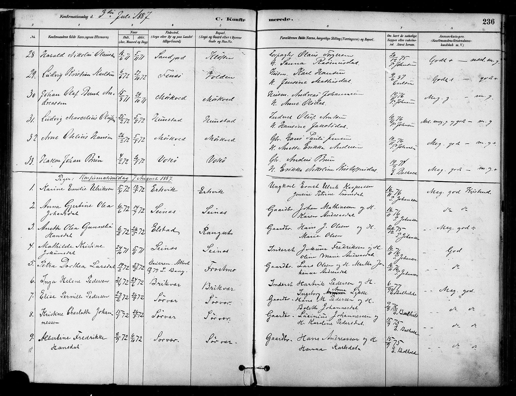 Ministerialprotokoller, klokkerbøker og fødselsregistre - Nordland, AV/SAT-A-1459/802/L0054: Parish register (official) no. 802A01, 1879-1893, p. 236